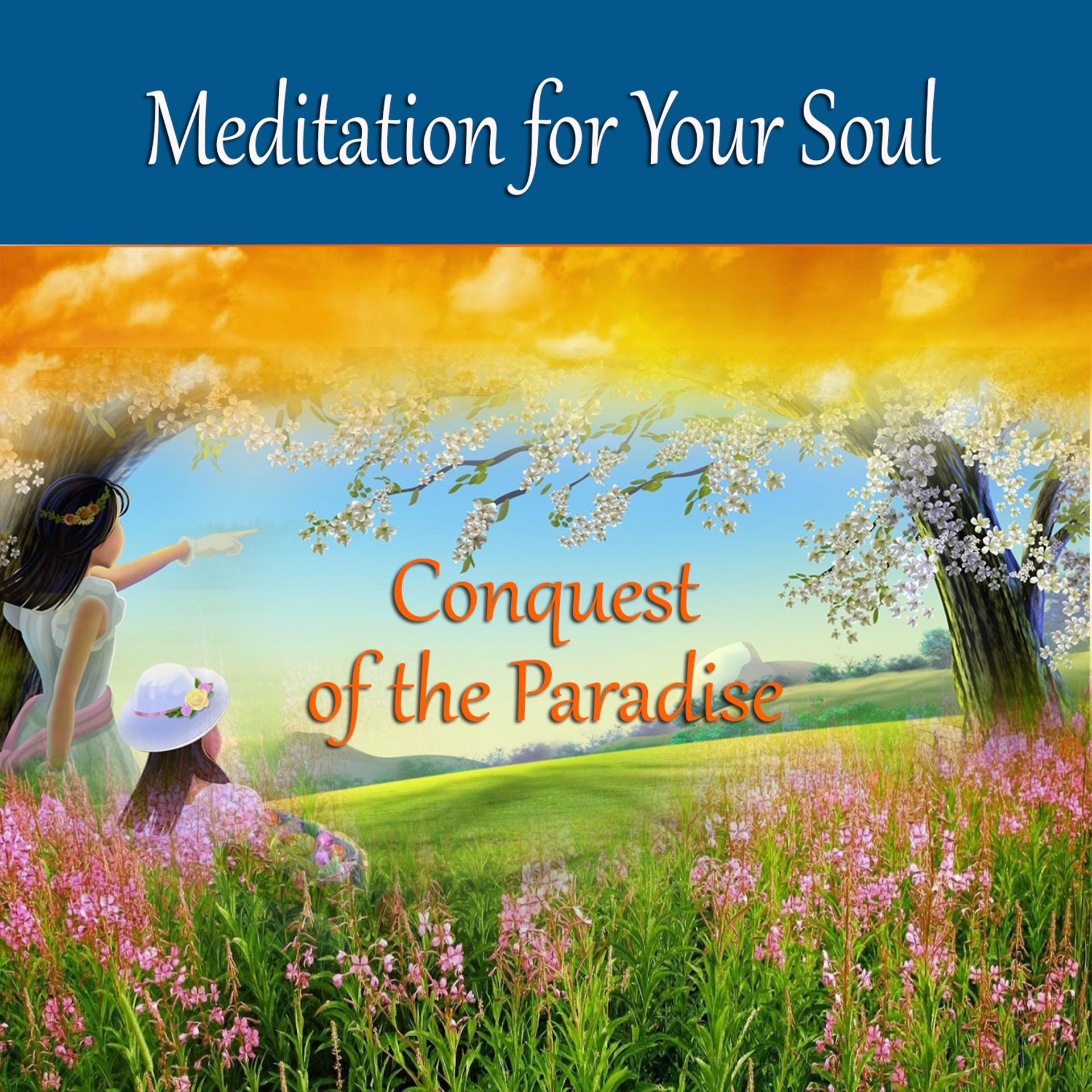 Постер альбома Meditation for Your Soul - Conquest of the Paradise