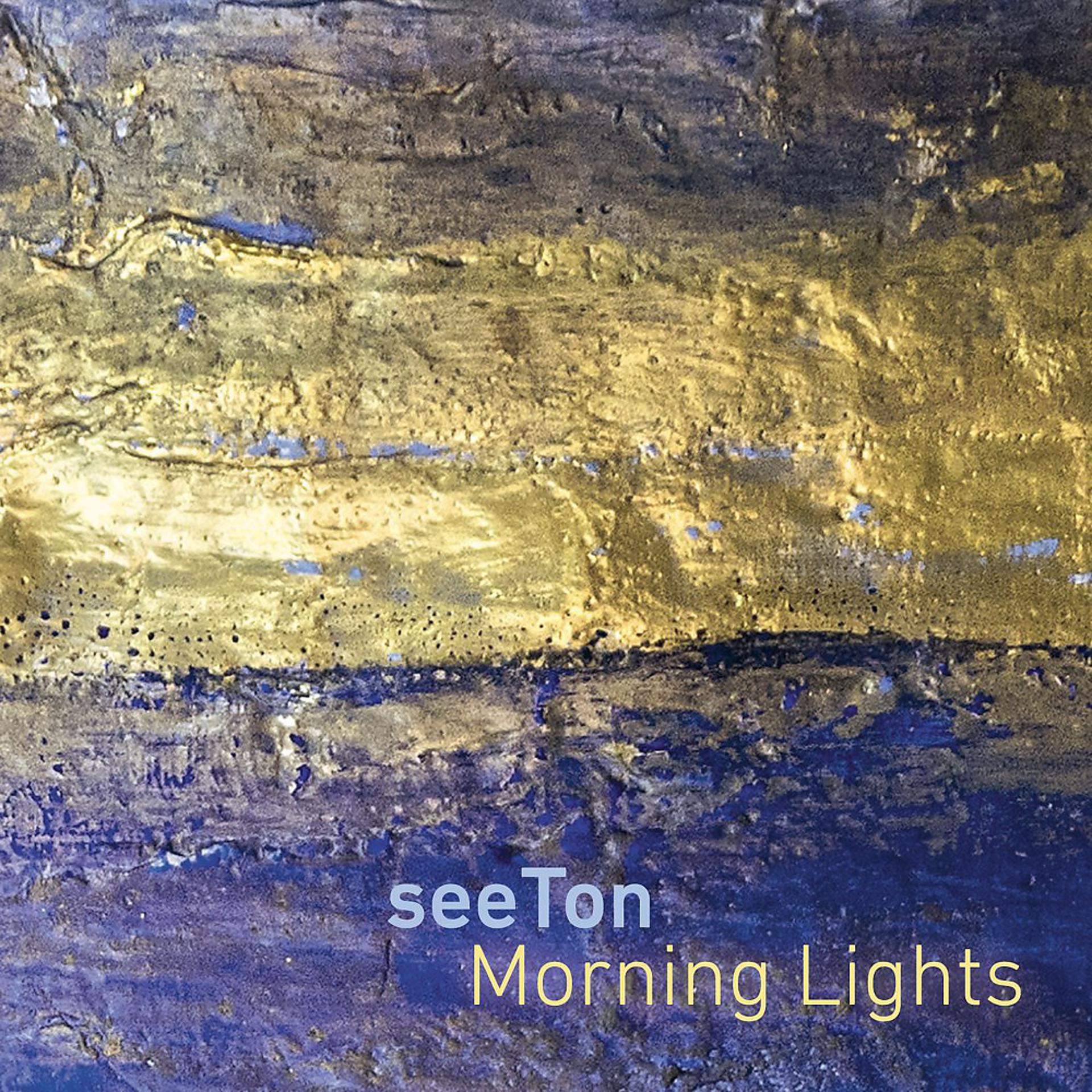 Постер альбома Morning Lights