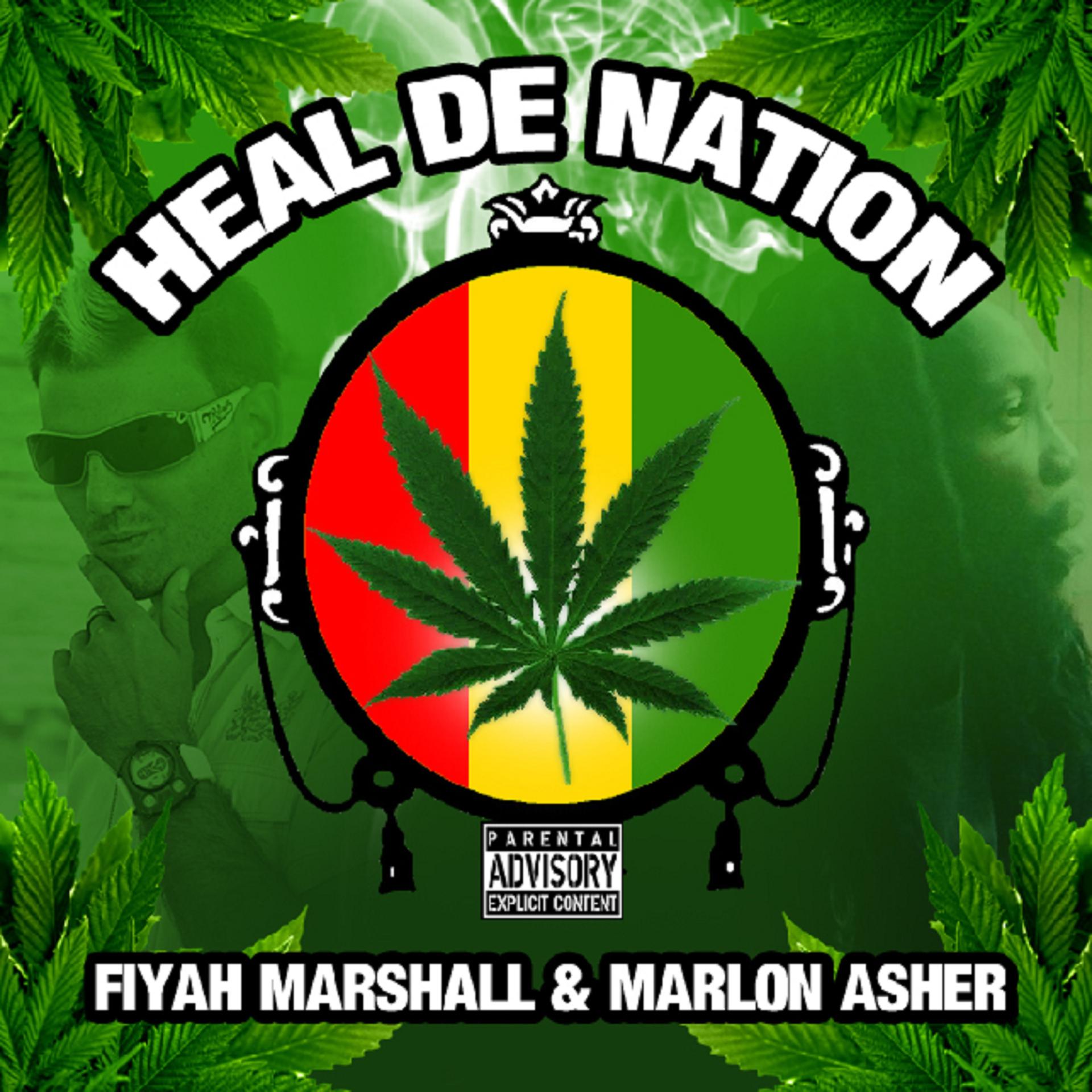 Постер альбома Heal De Nation
