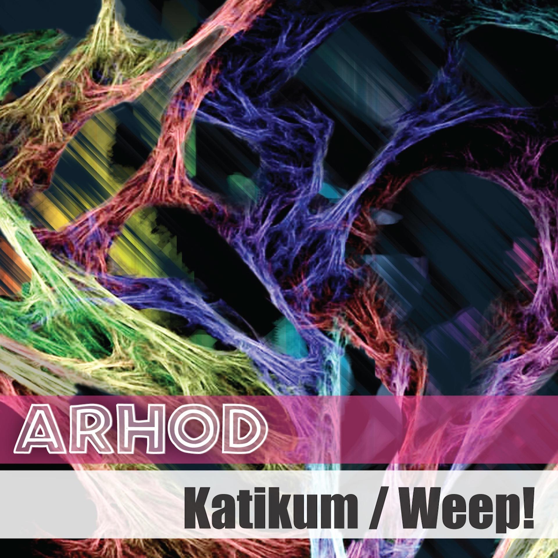 Постер альбома Katikum / Wheep!