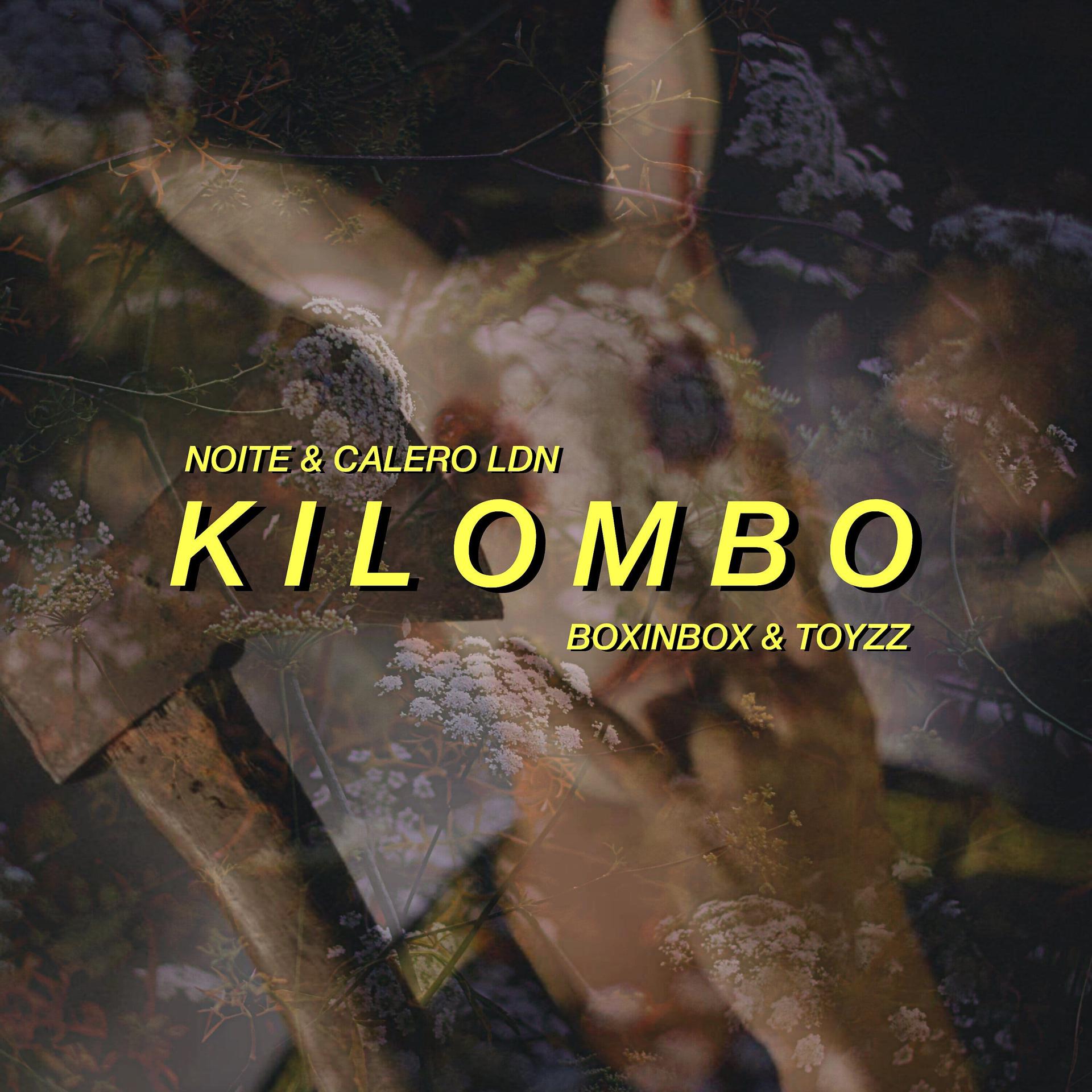 Постер альбома Kilombo