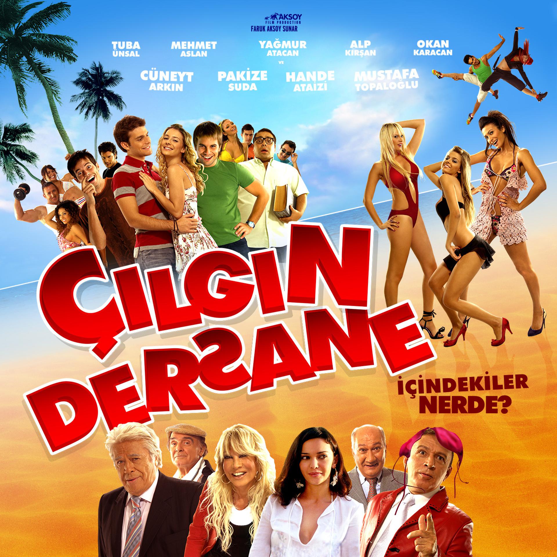Постер альбома Çılgın Dersane