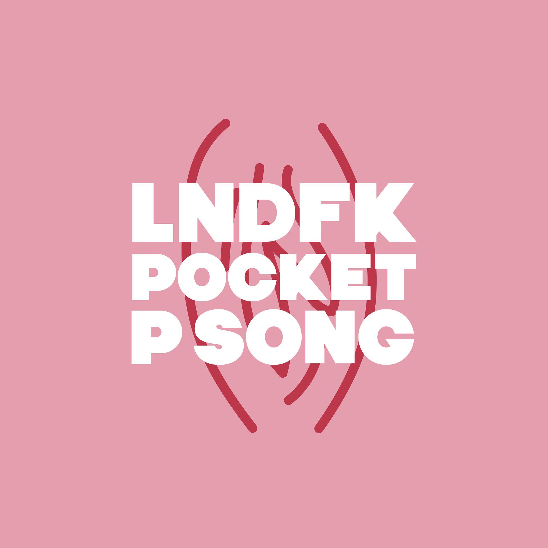 Постер альбома Pocket P Song