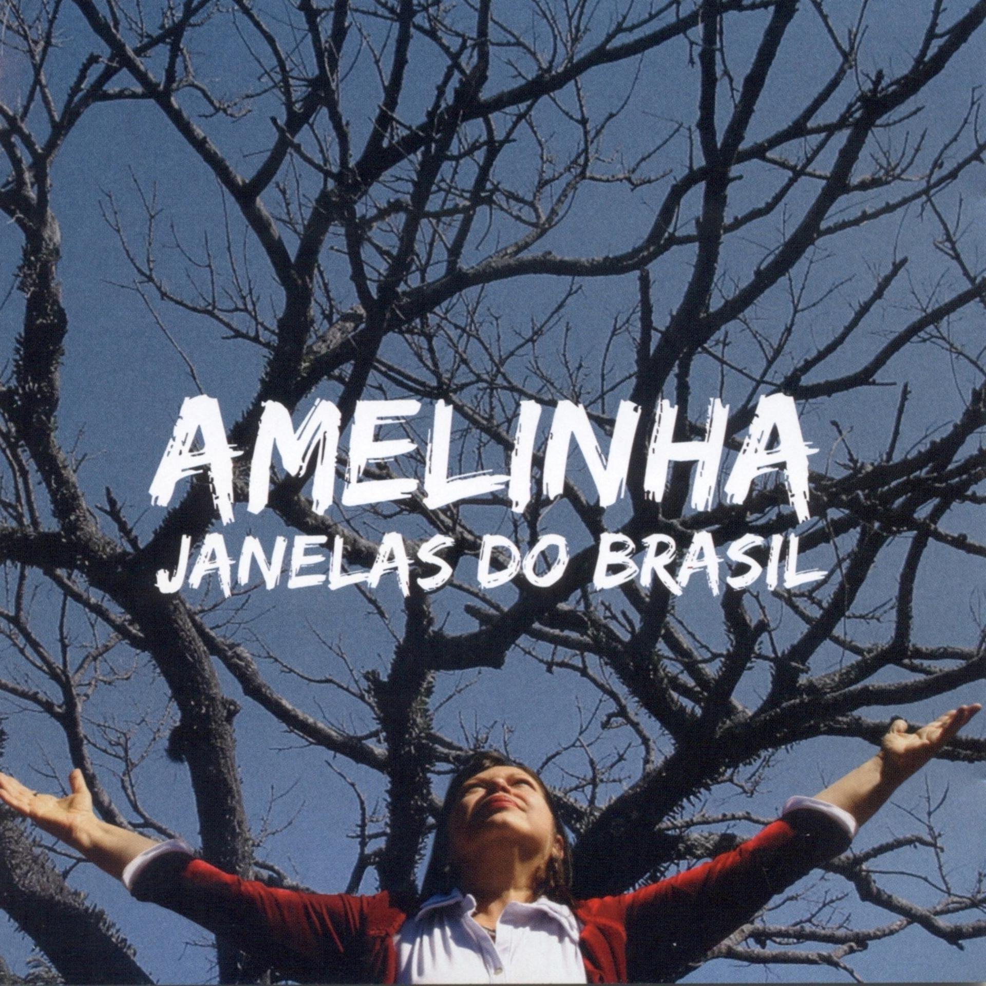 Постер альбома Janelas do Brasil