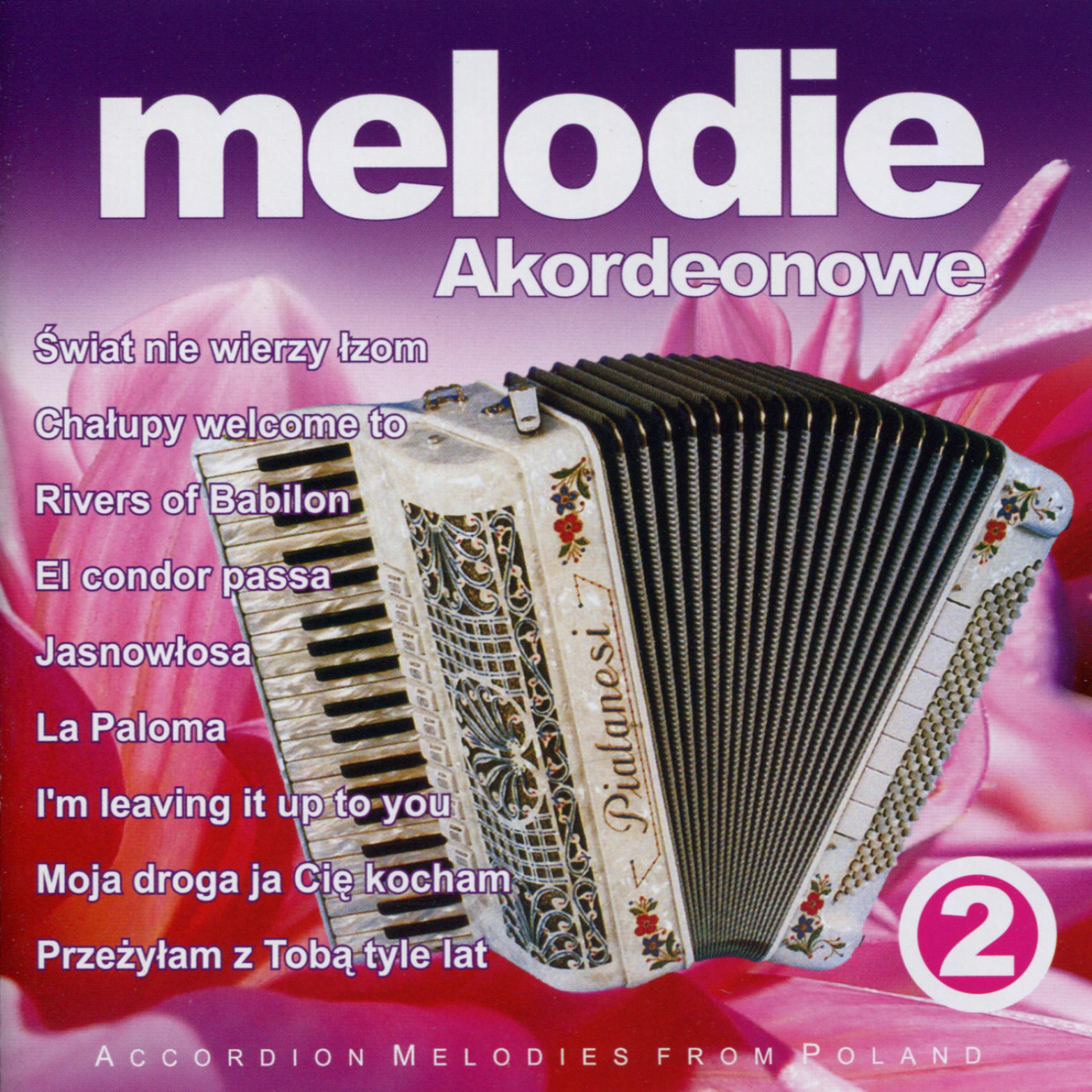 Постер альбома Ruskie pierniki - Accordion Melodies from Poland