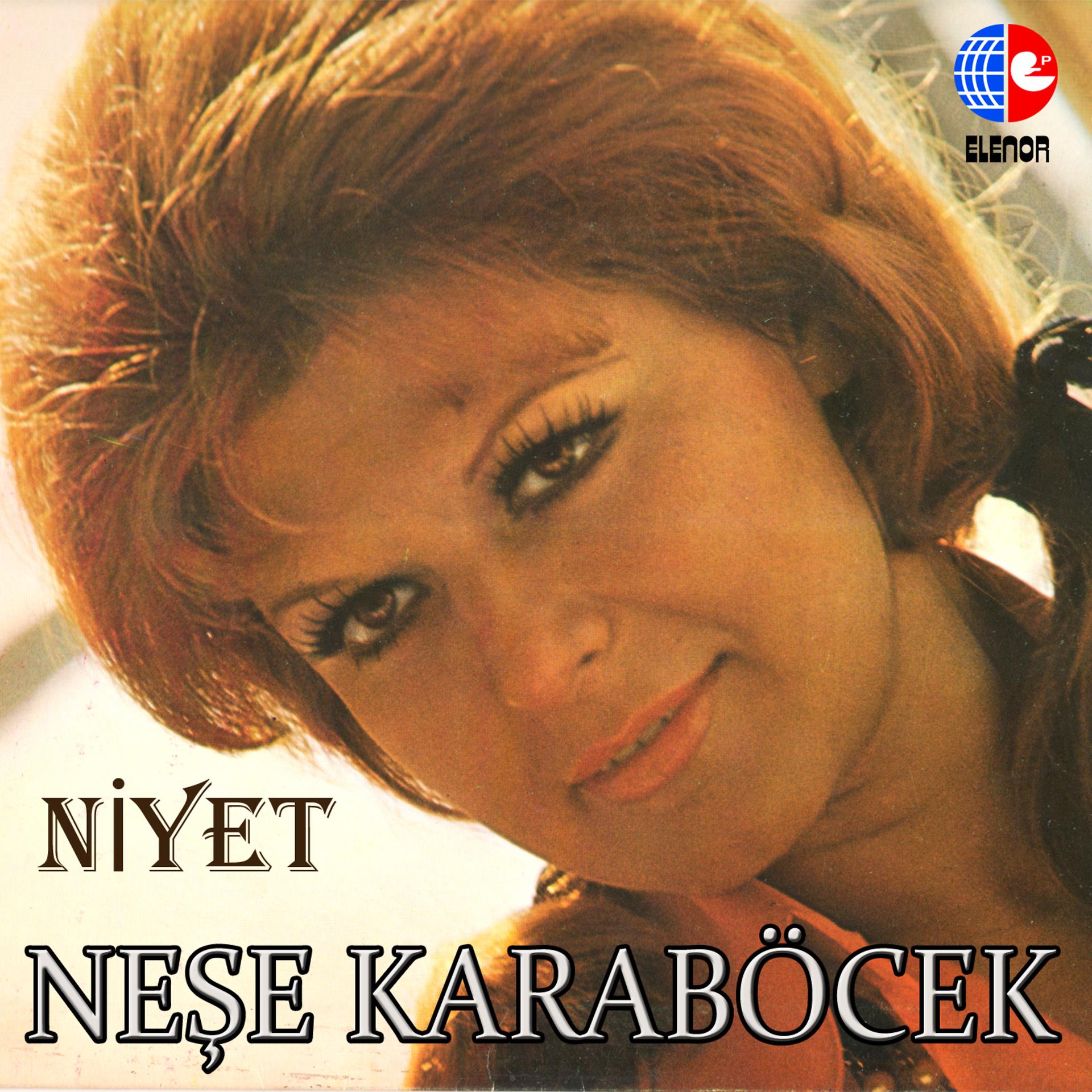 Постер альбома Niyet