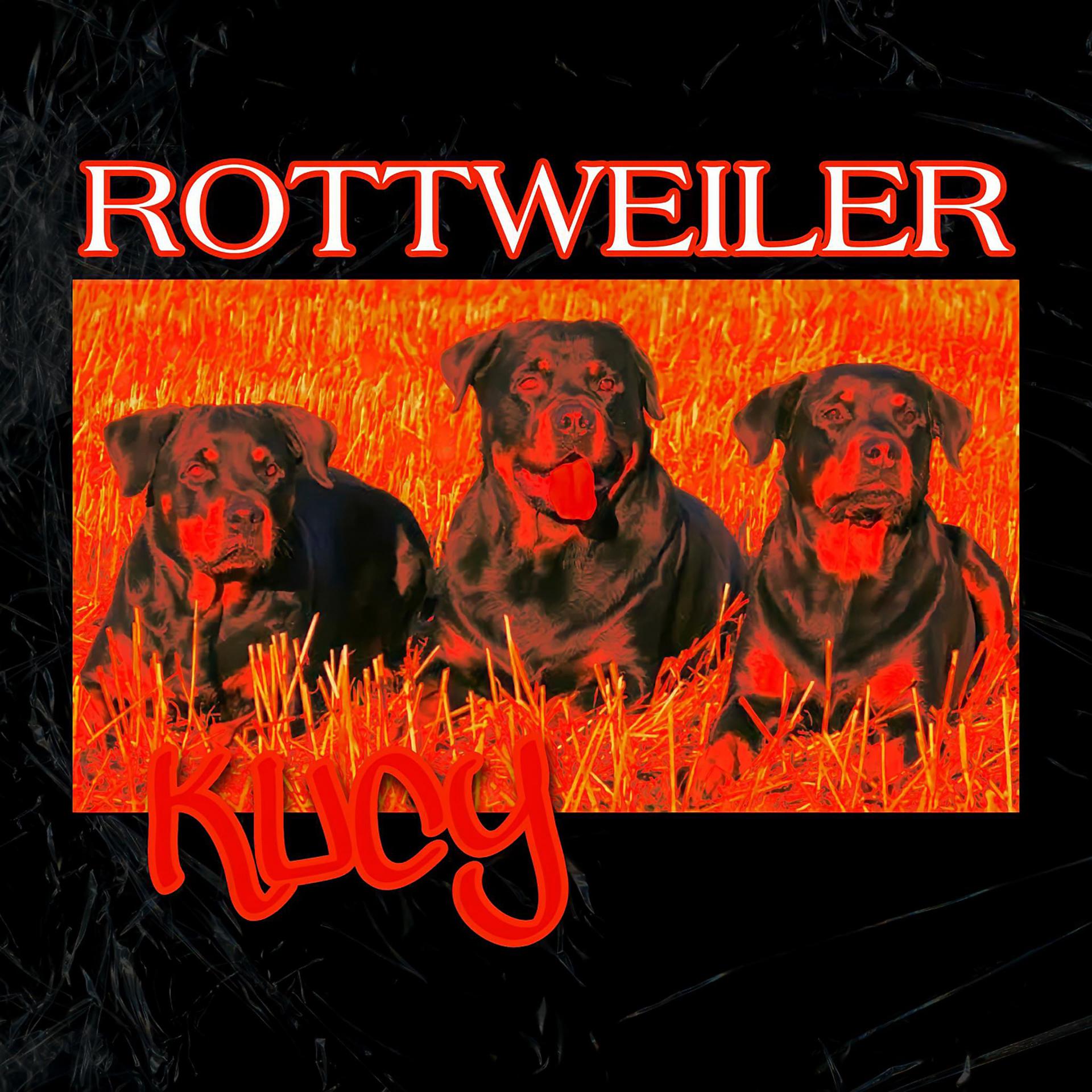 Постер альбома Rottweiler