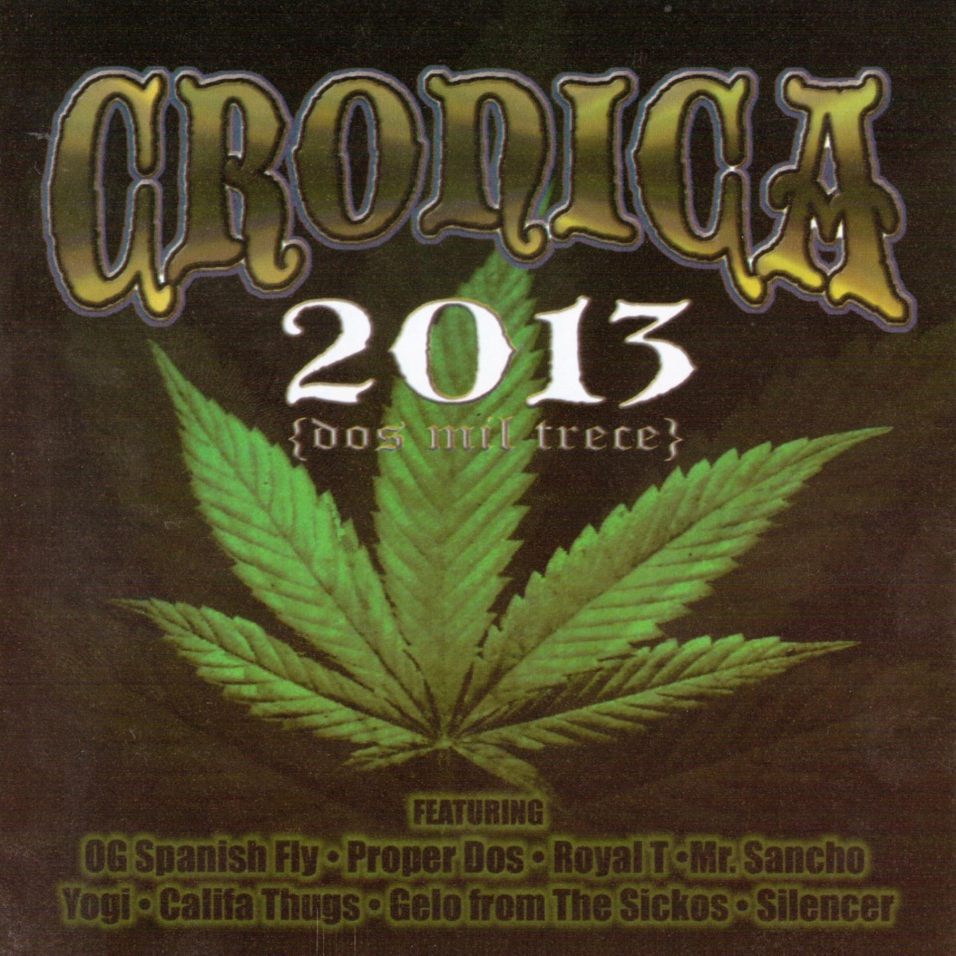 Постер альбома Cronica 2013