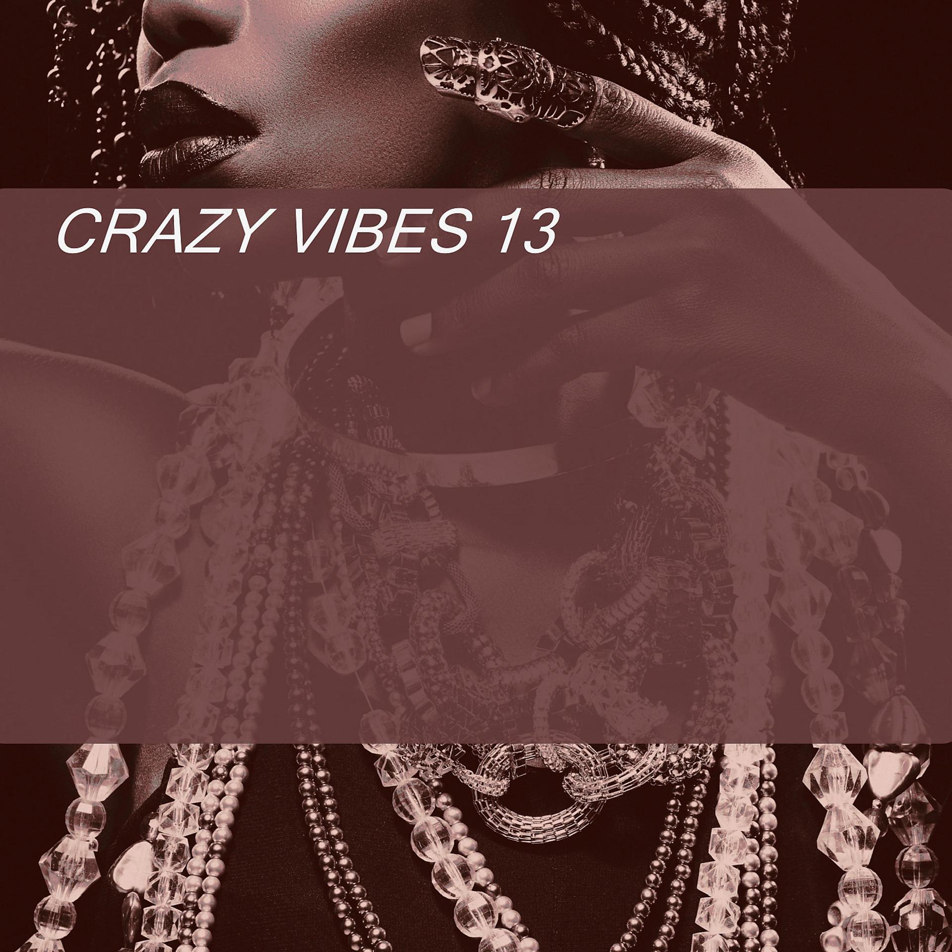 Постер альбома CRAZY VIBES 13