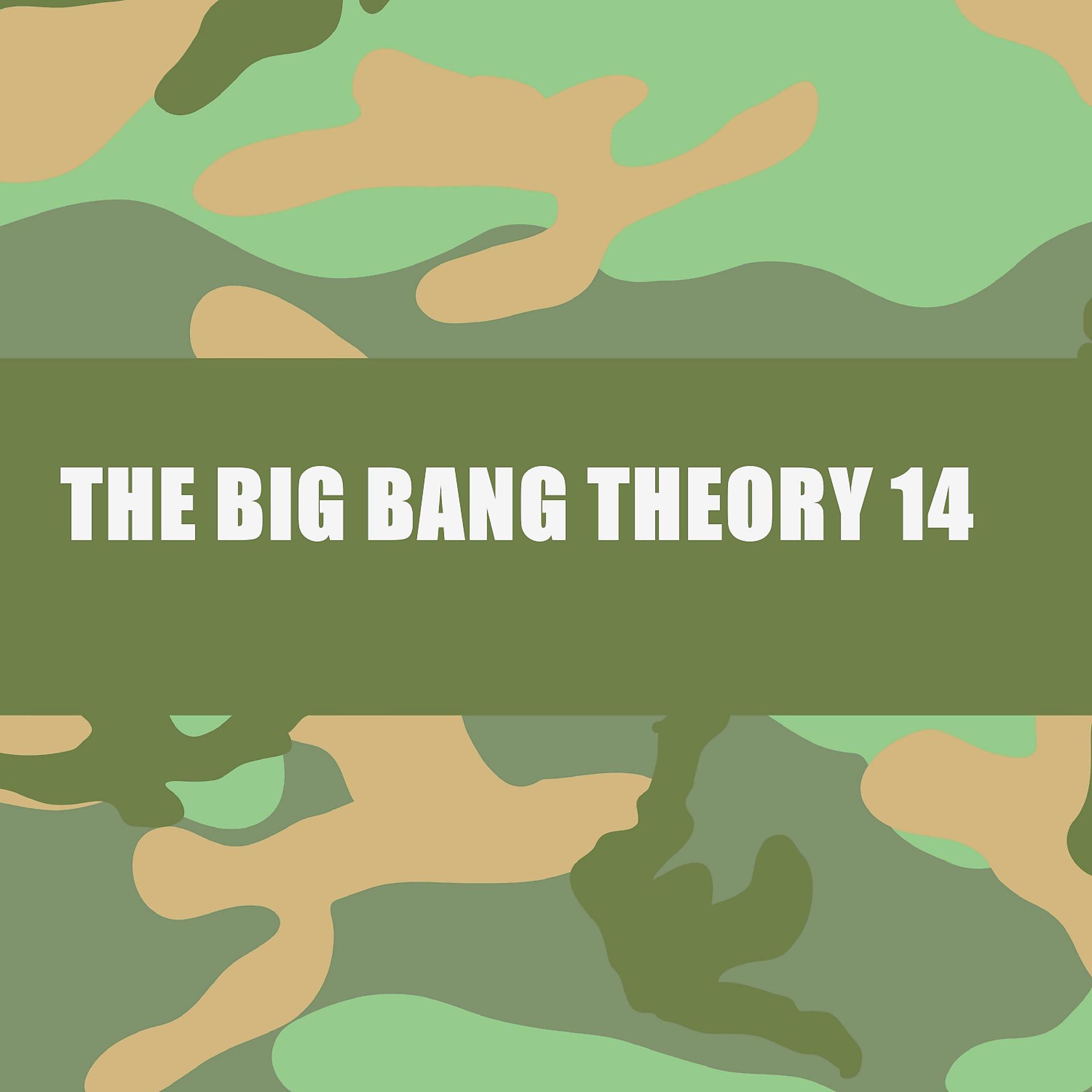 Постер альбома THE BIG BANG THEORY 14