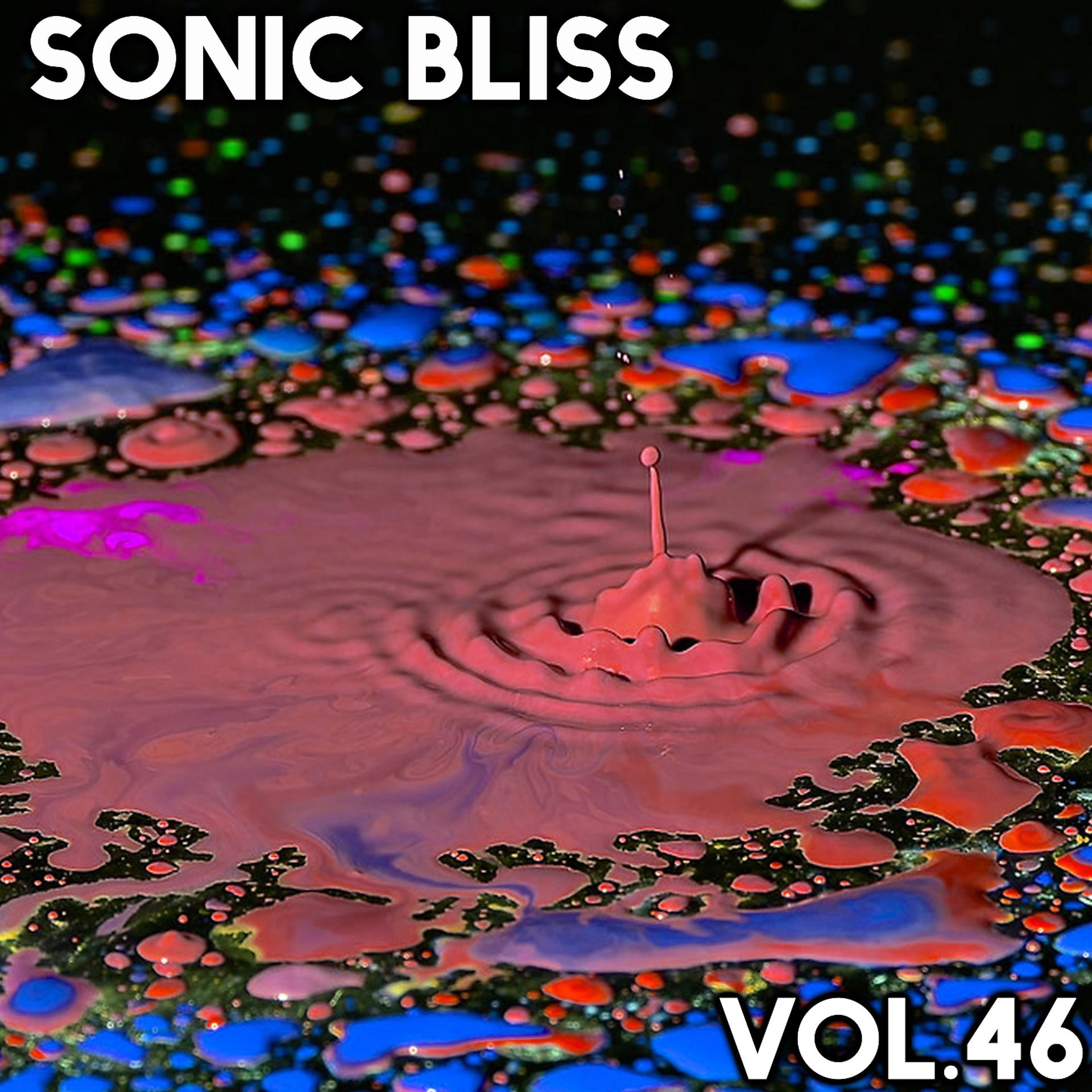 Постер альбома Sonic Bliss, Vol. 46