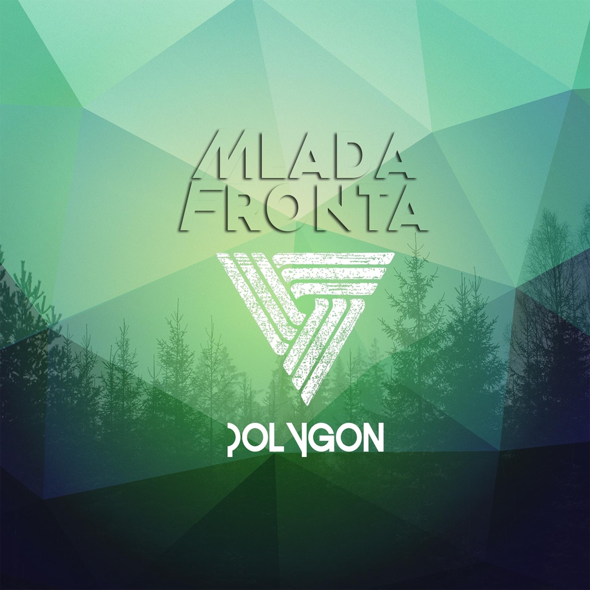 Постер альбома Polygon