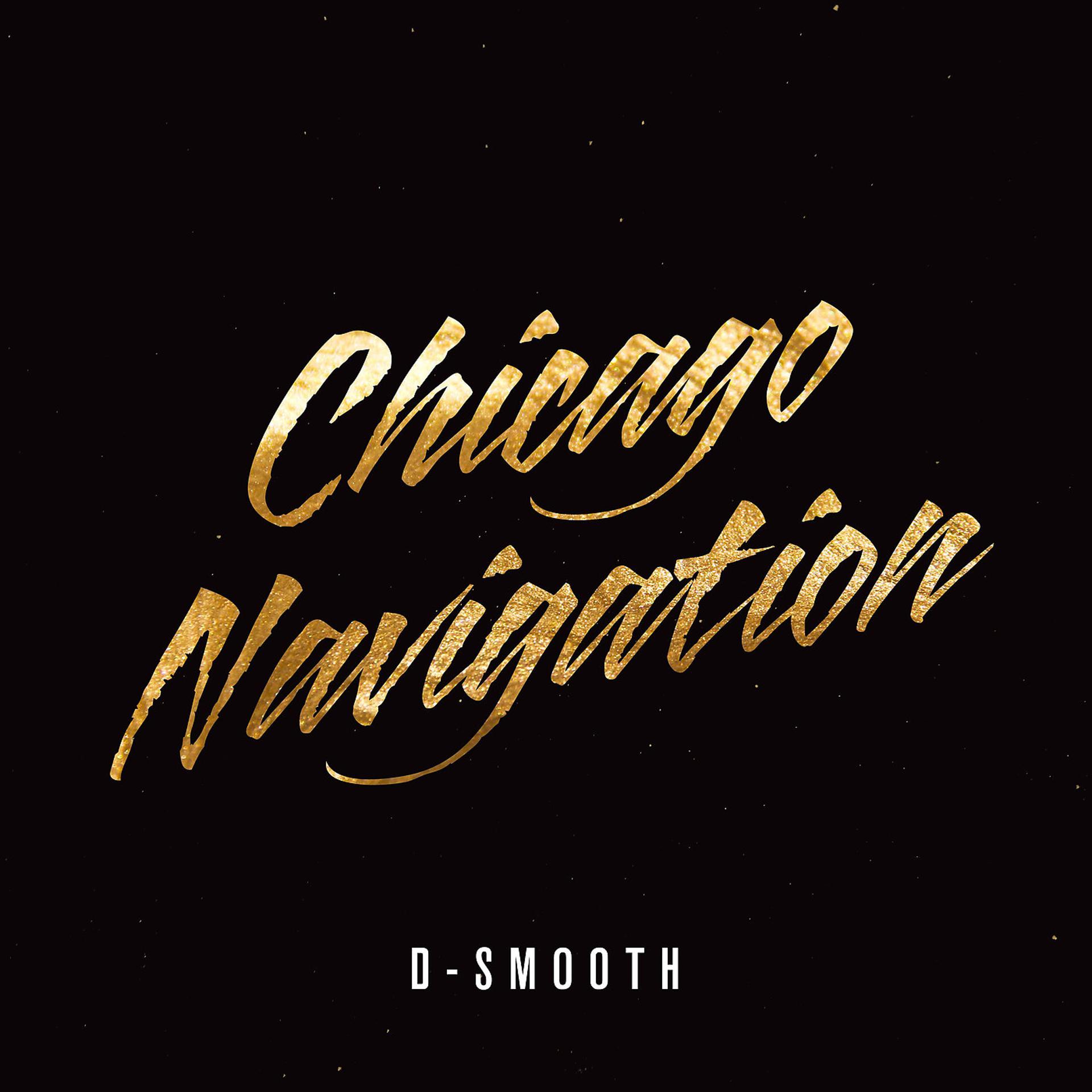 Постер альбома Chicago Navigation