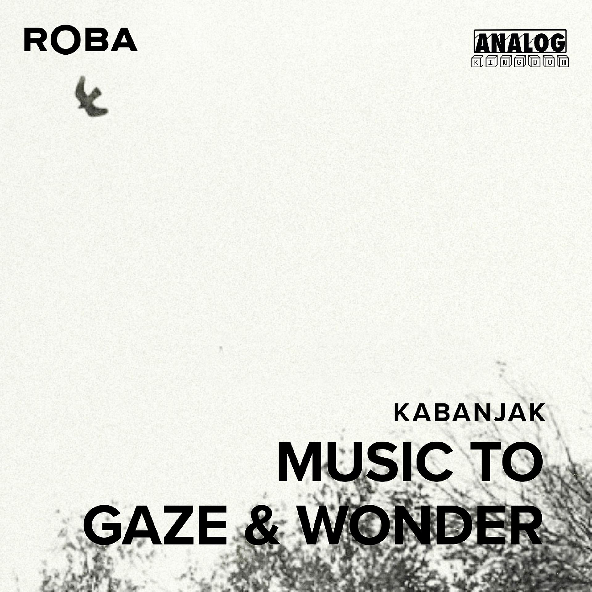 Постер альбома Music To Gaze & Wonder