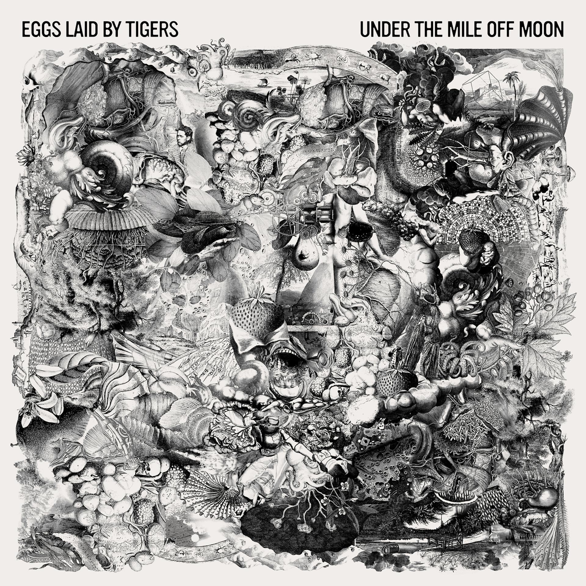 Постер альбома Under the Mile off Moon