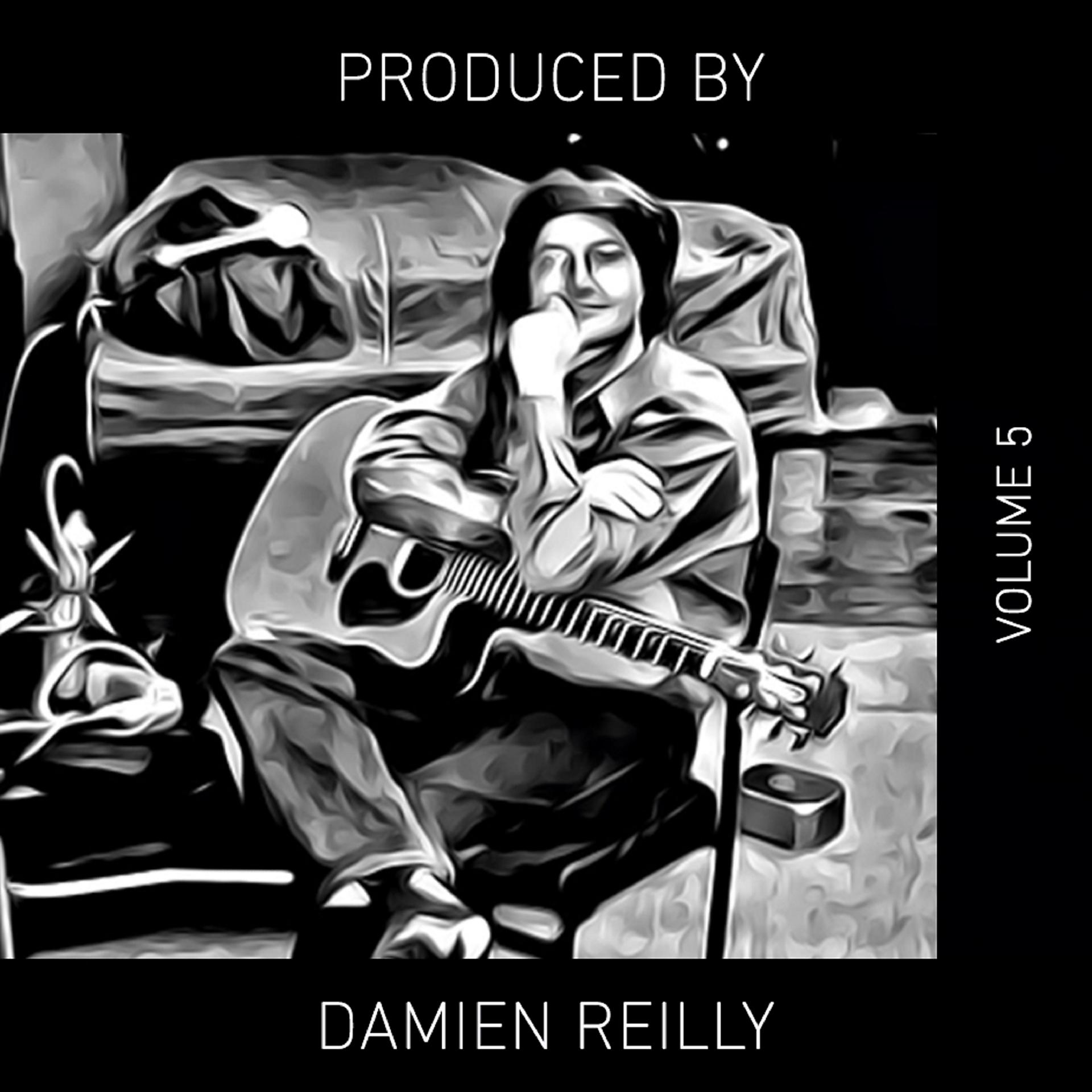 Постер альбома Produced by Damien Reilly, Vol. 5