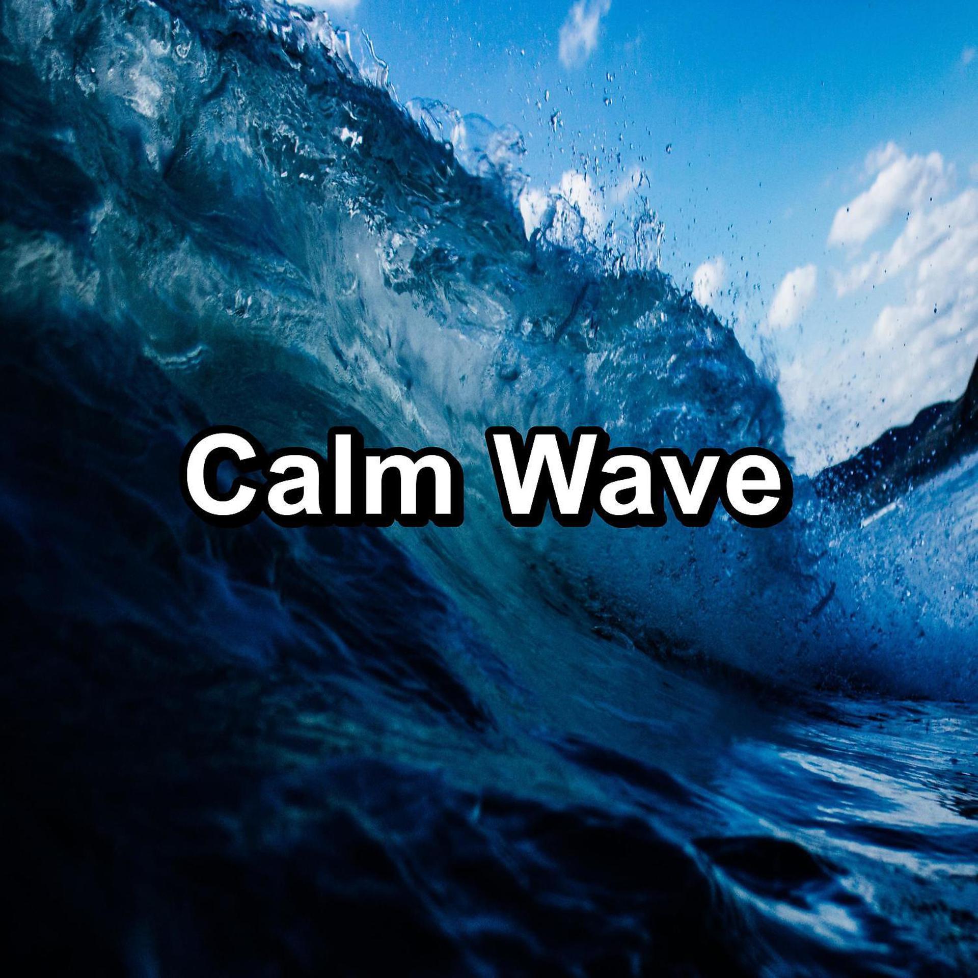 Постер альбома Calm Wave