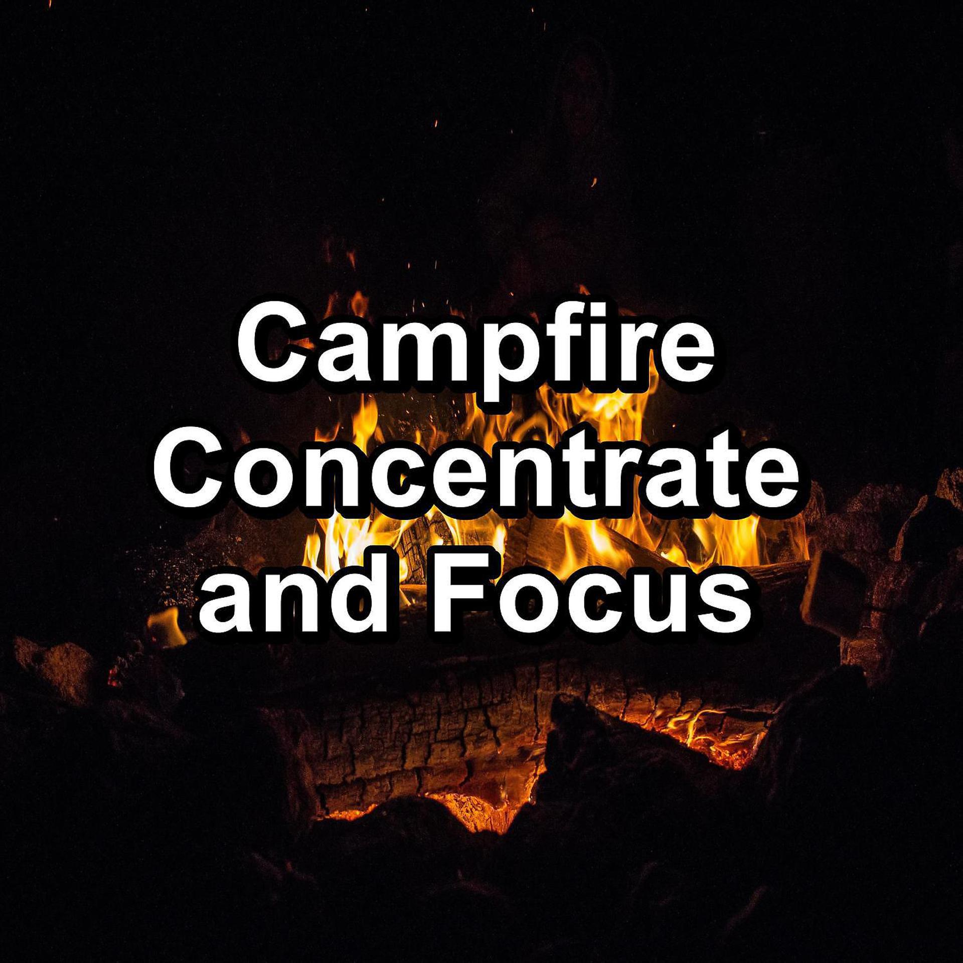 Постер альбома Campfire Concentrate and Focus