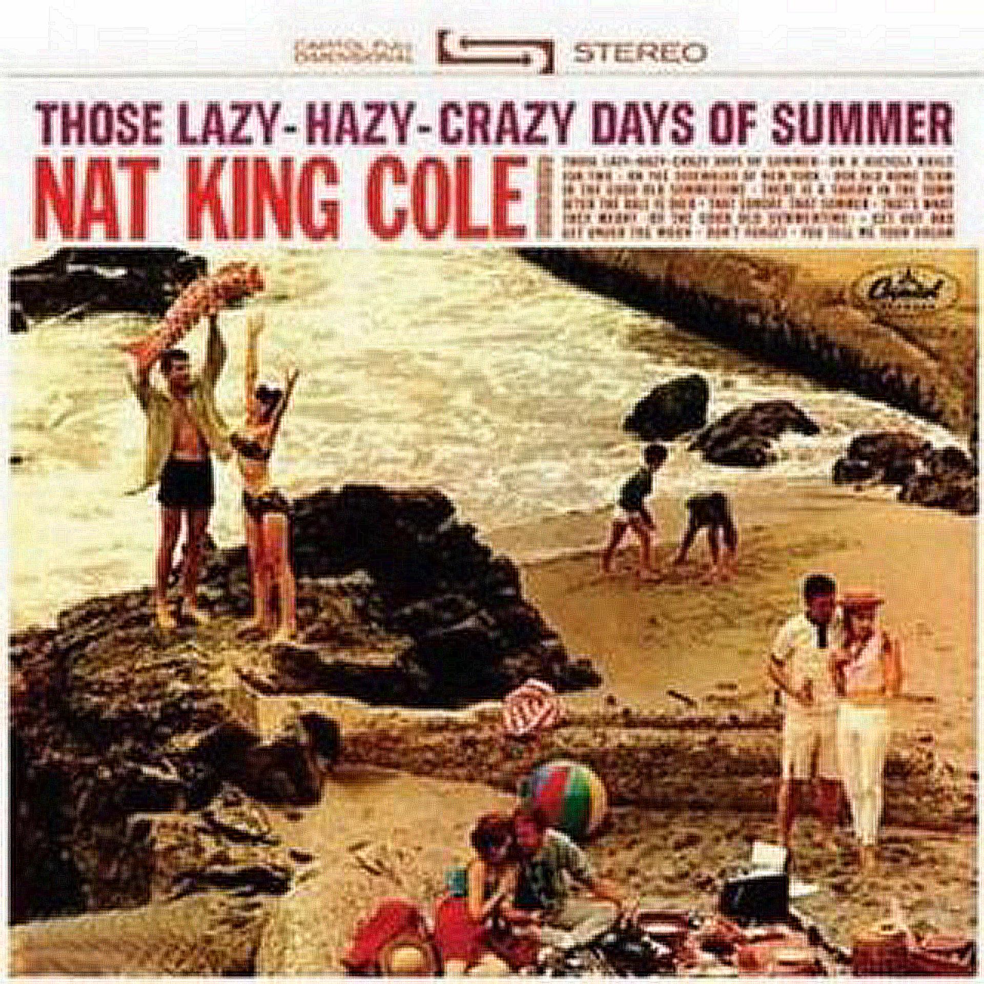 Постер альбома Those Lazy Hazy Crazy Days Of Summer