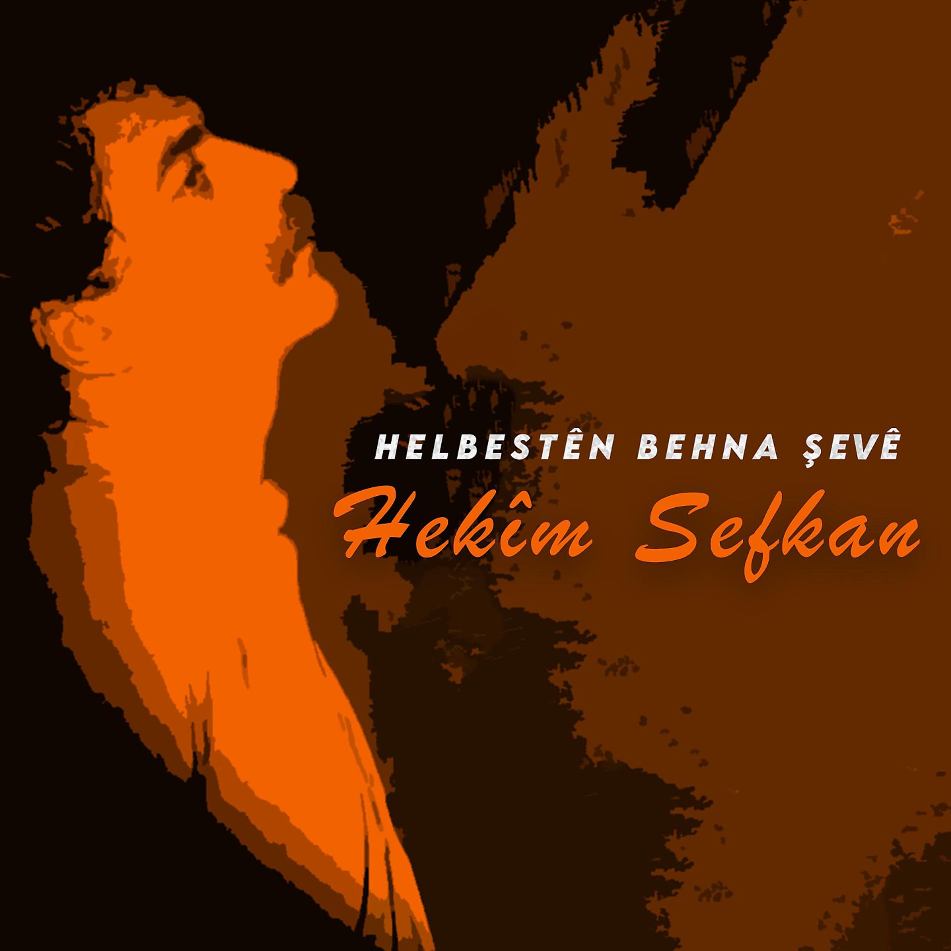 Постер альбома Helbestên Behna Şevê