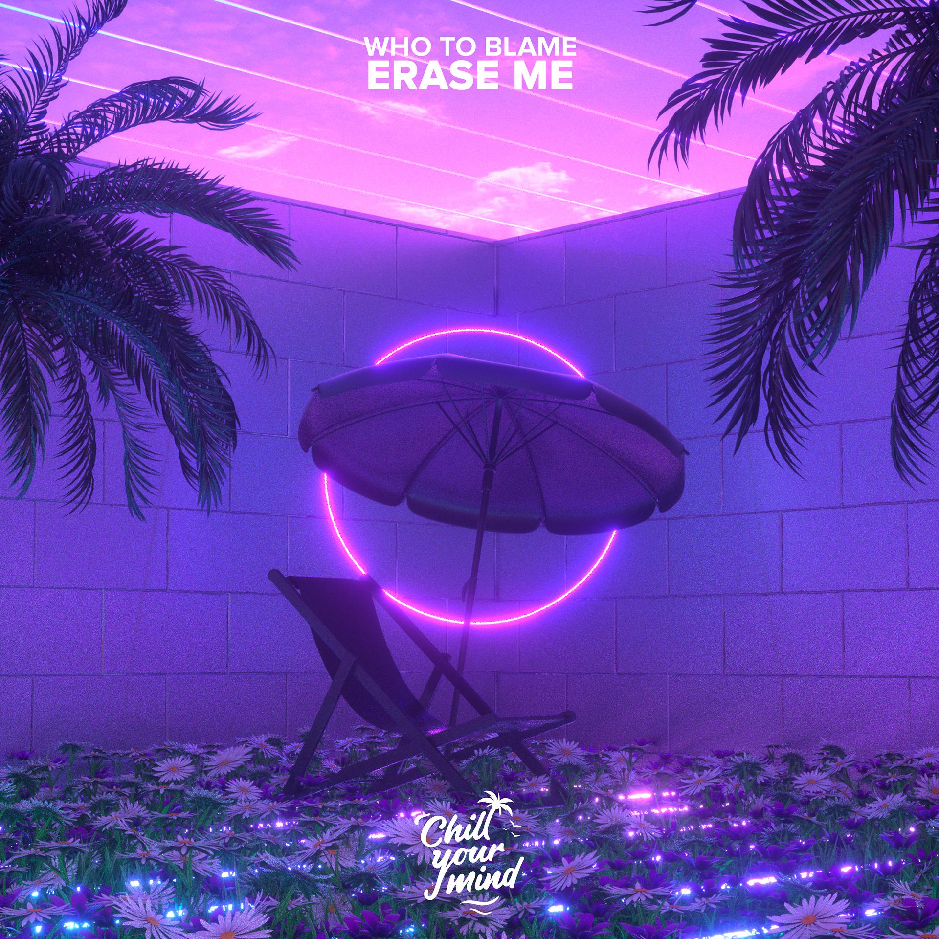 Постер альбома Erase Me