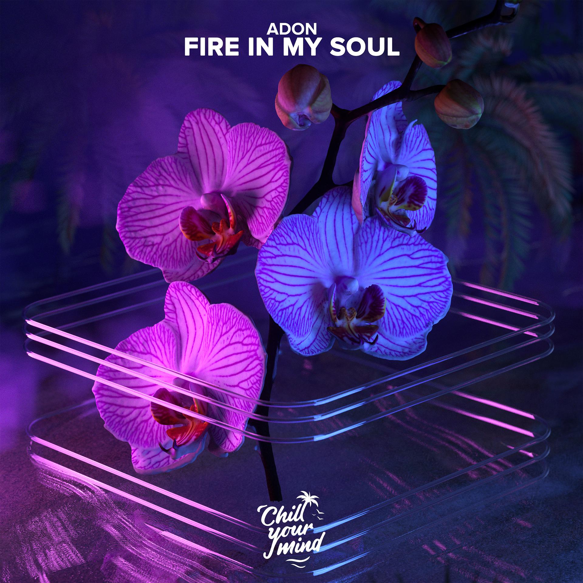 Постер альбома Fire in My Soul