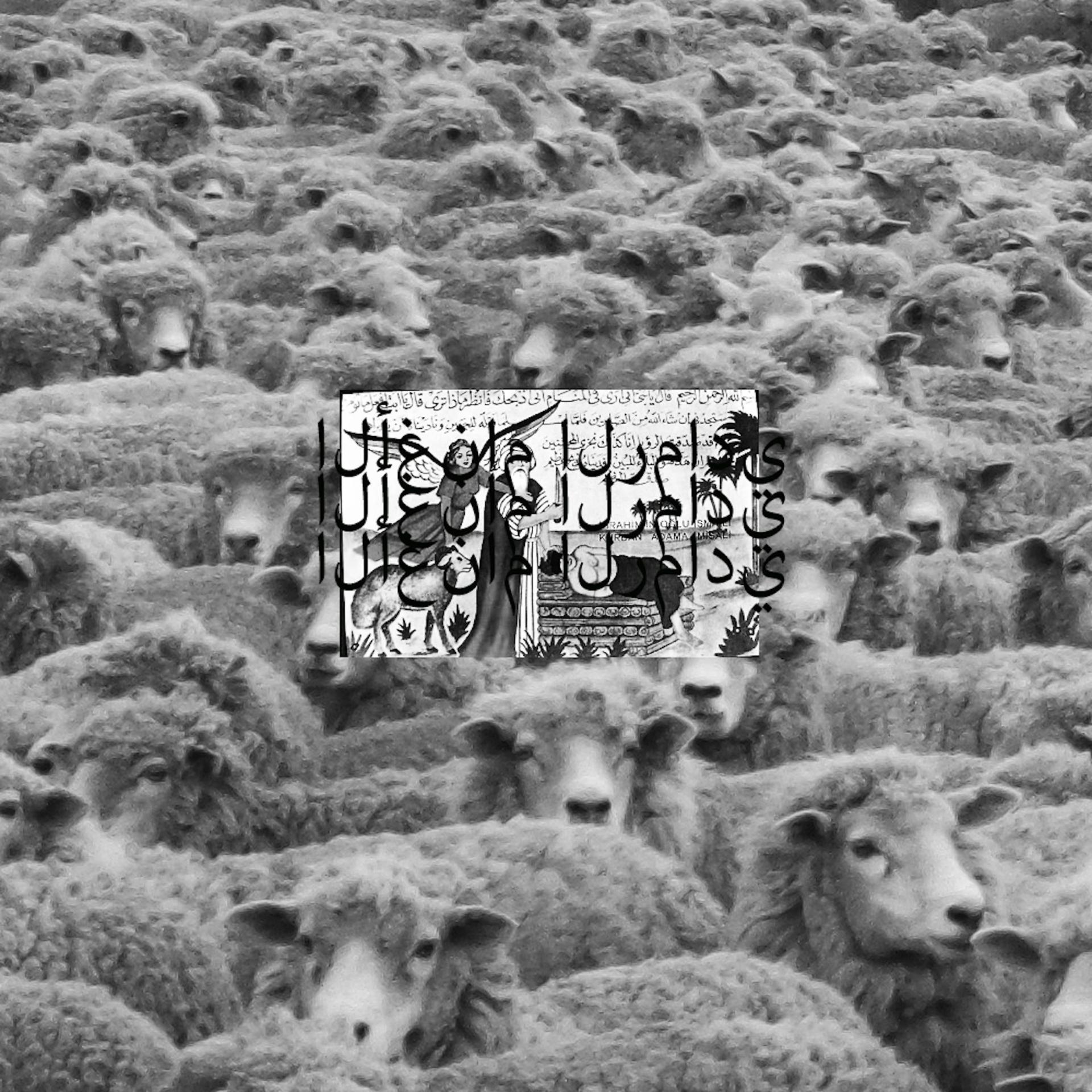 Постер альбома Grey Sheep II