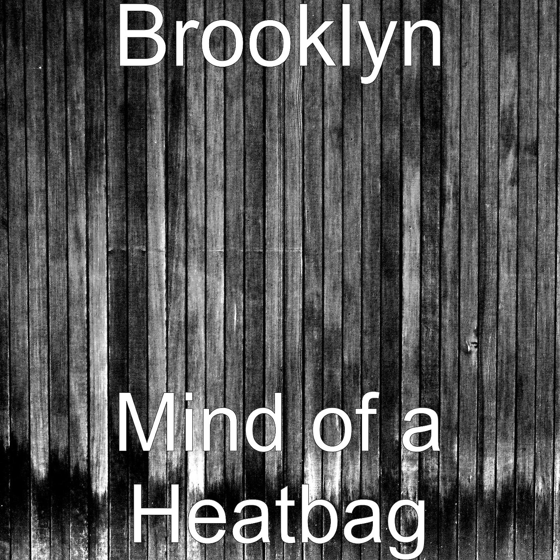 Постер альбома Mind of a Heatbag