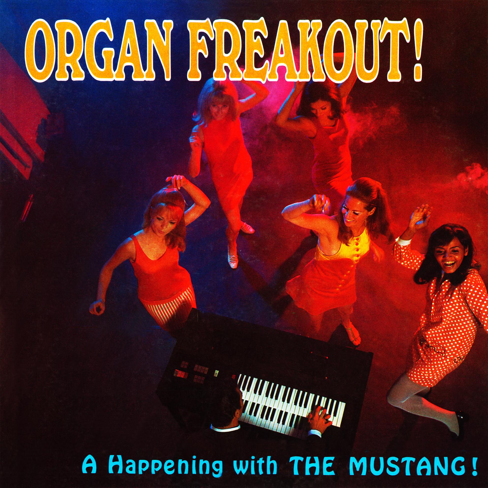Постер альбома Organ Freakout! (Remastered from the Original Somerset Tapes)