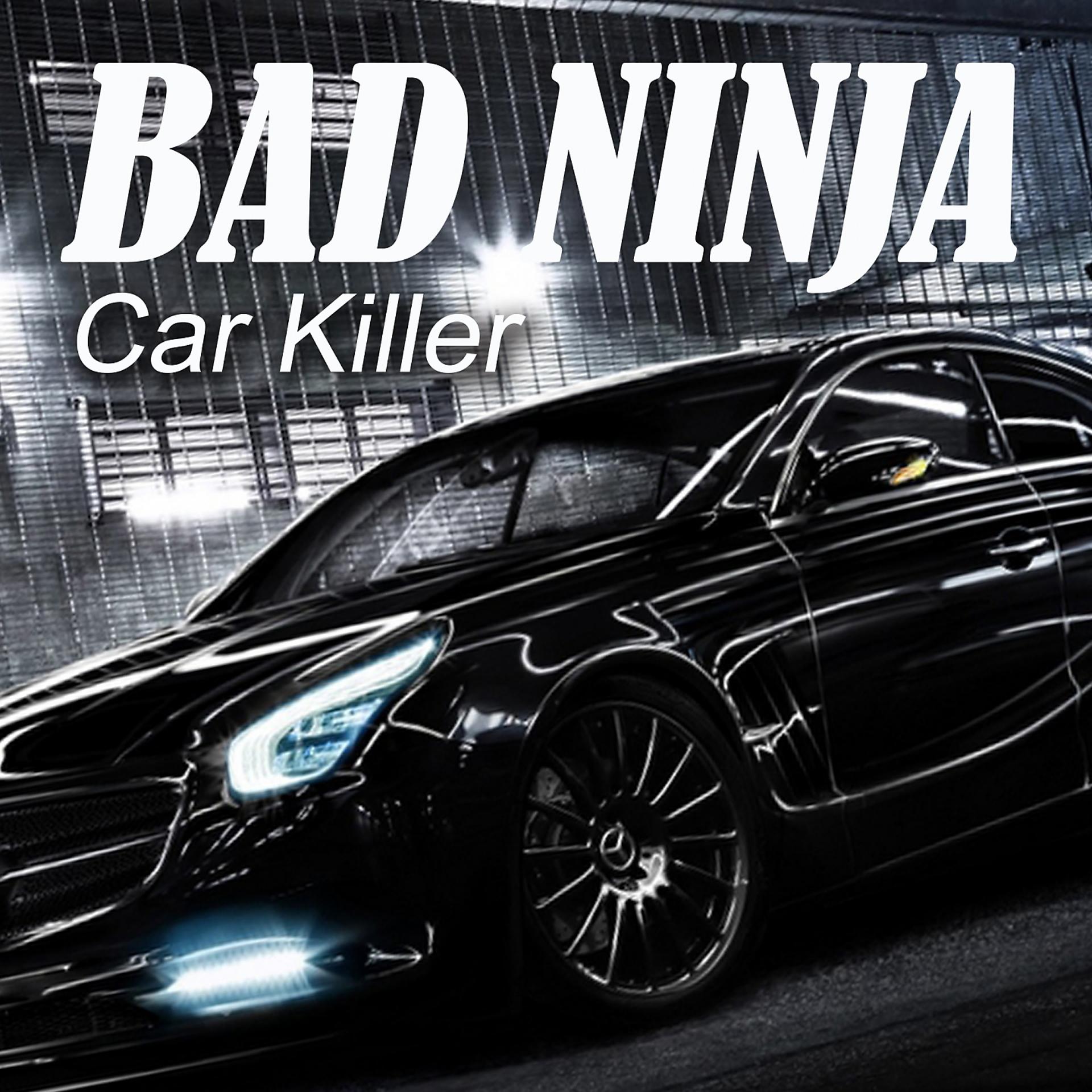 Постер альбома Car Killer