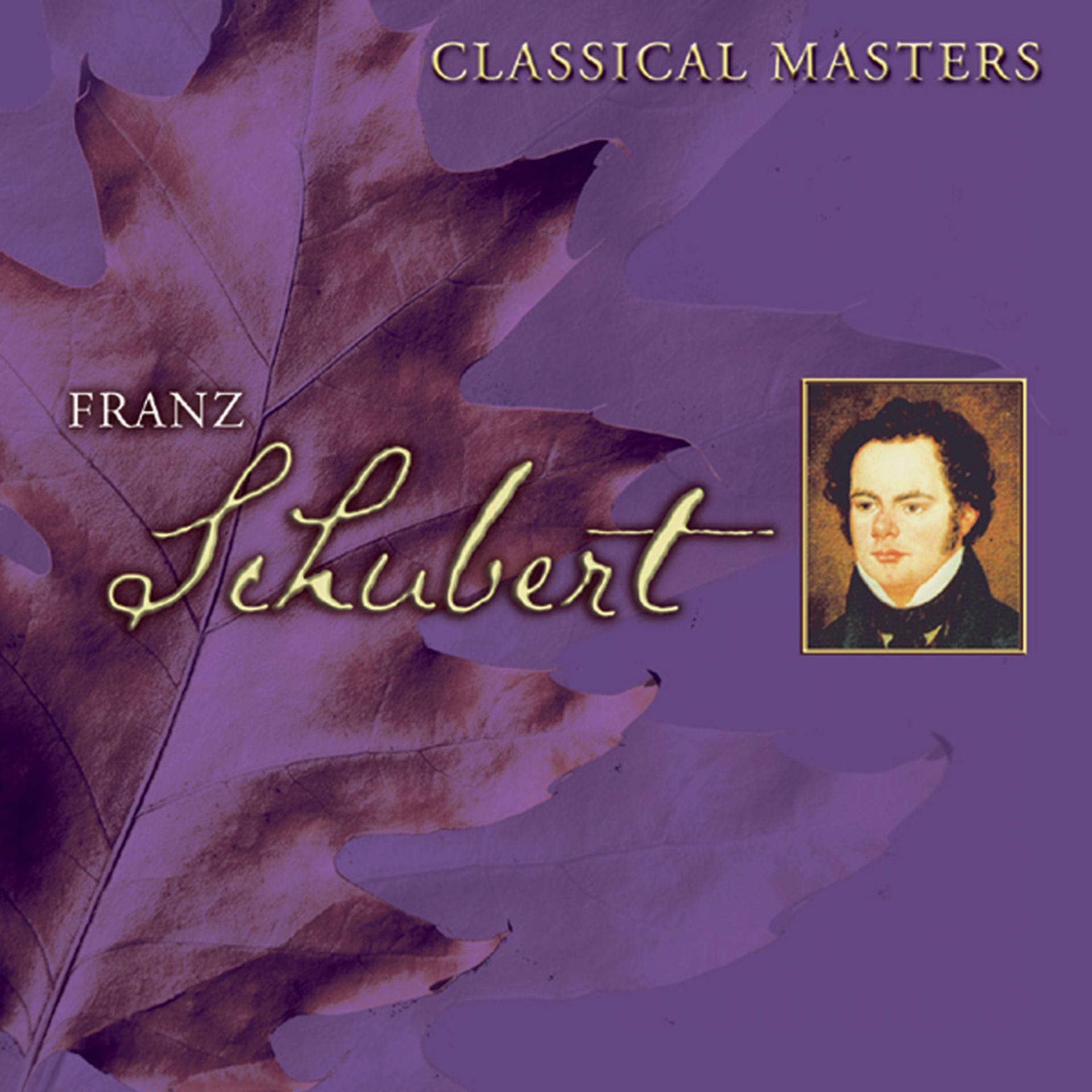 Постер альбома Classical Masters Vol. 5: Schubert
