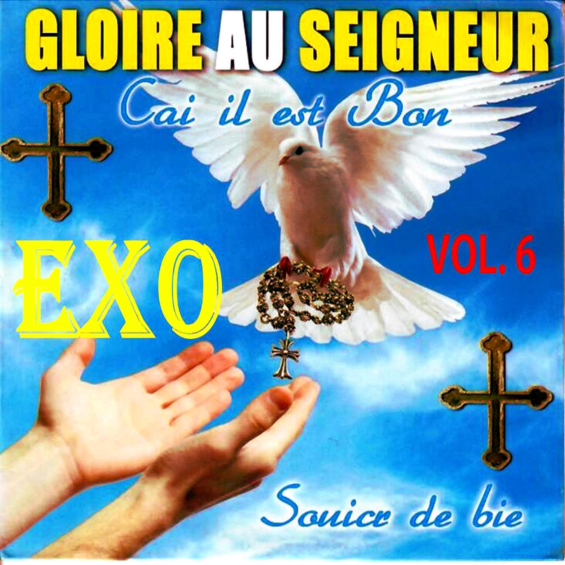 Постер альбома Gloire au Seigneur, Vol. 6