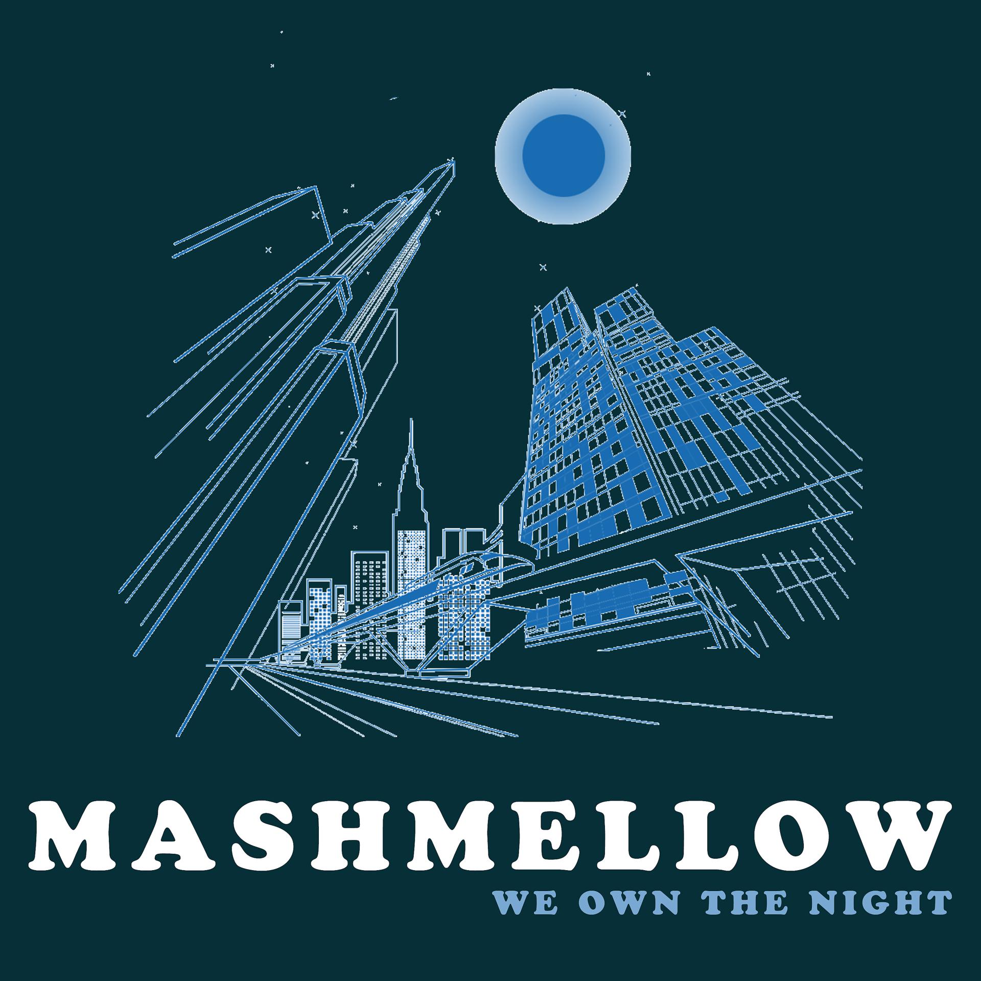 Постер альбома We Own the Night