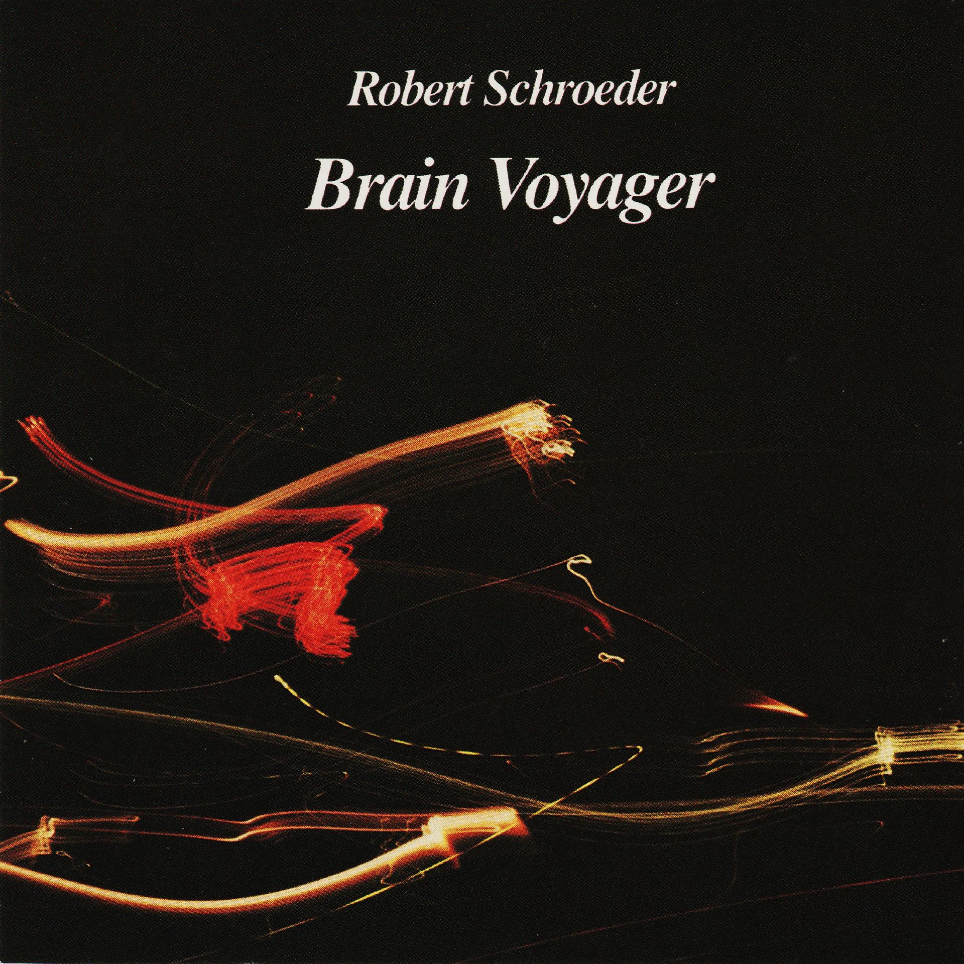Постер альбома Brain Voyager