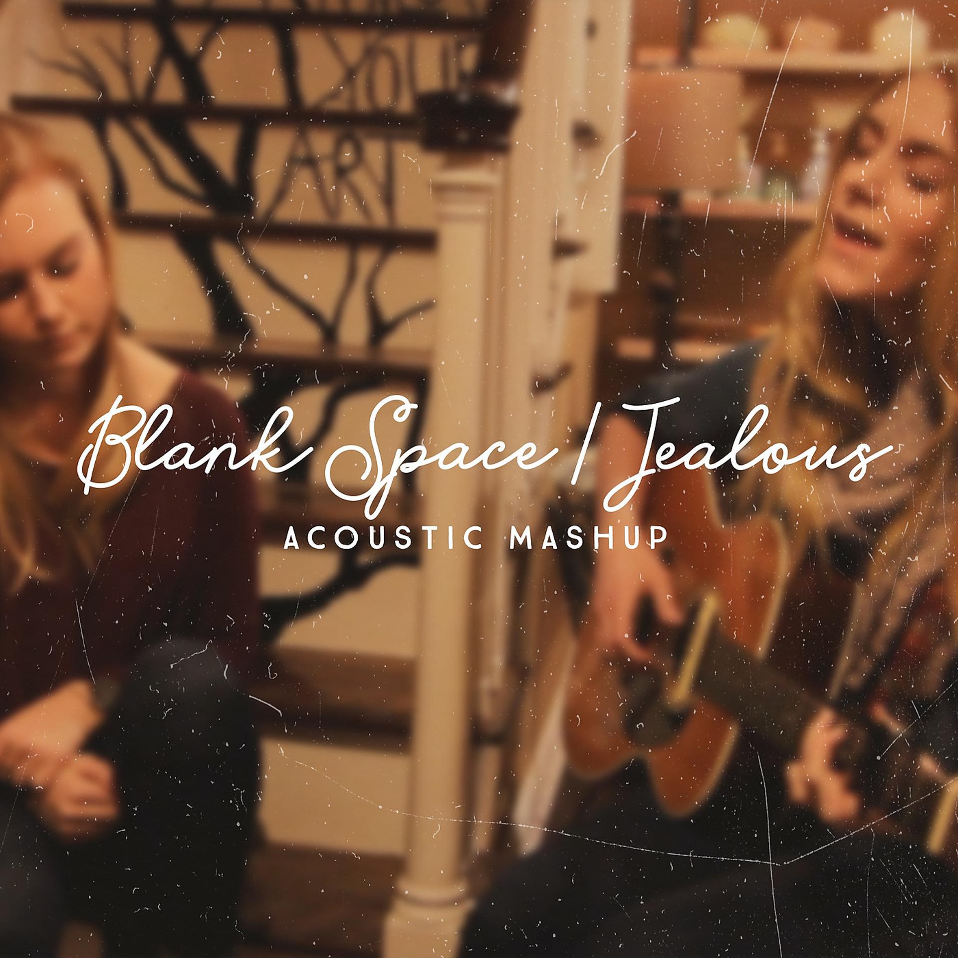Постер альбома Blank Space / Jealous (Acoustic Mashup)