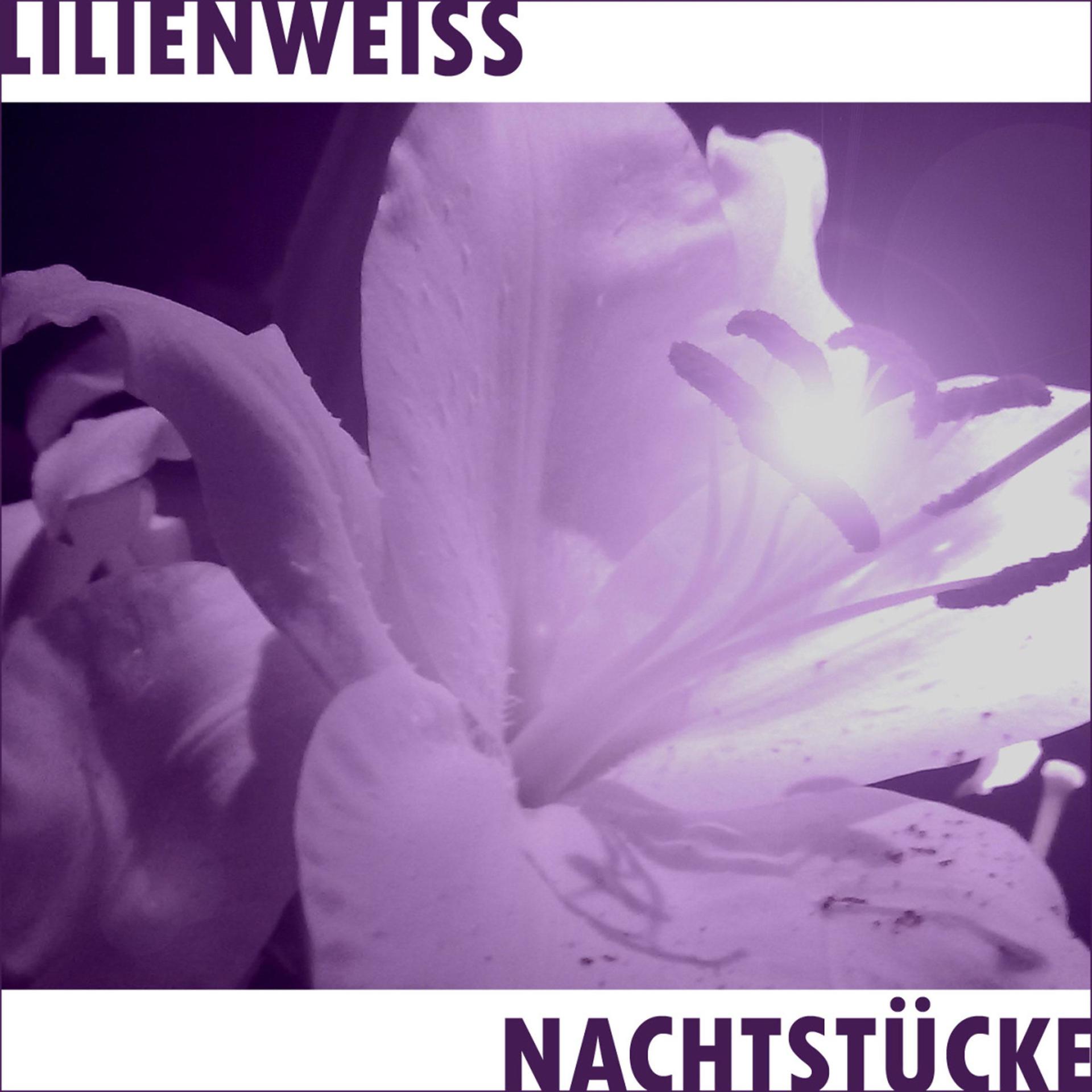 Постер альбома Nachtstücke - Night Pieces