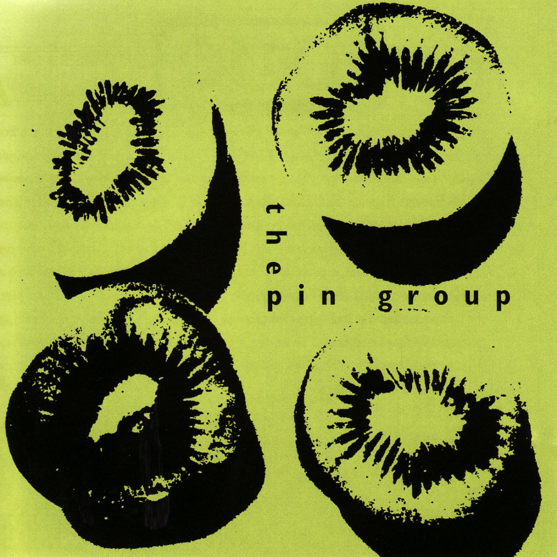 Постер альбома The Pin Group