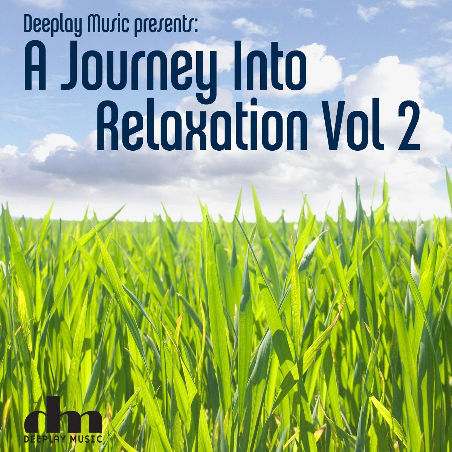 Постер альбома A Journey into Relaxation, Vol 2