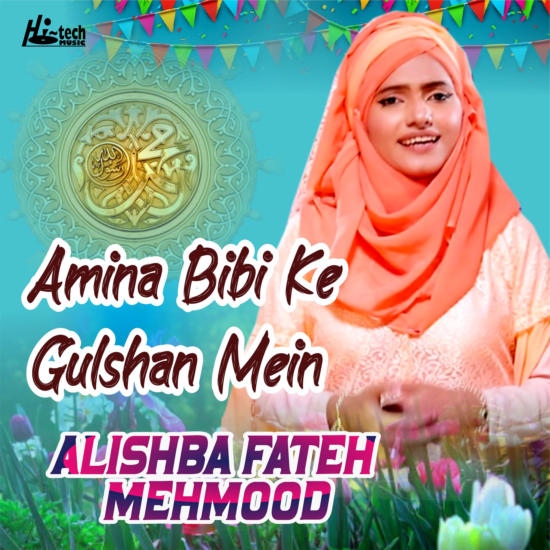 Постер альбома Amina Bibi Ke Gulshan Mein