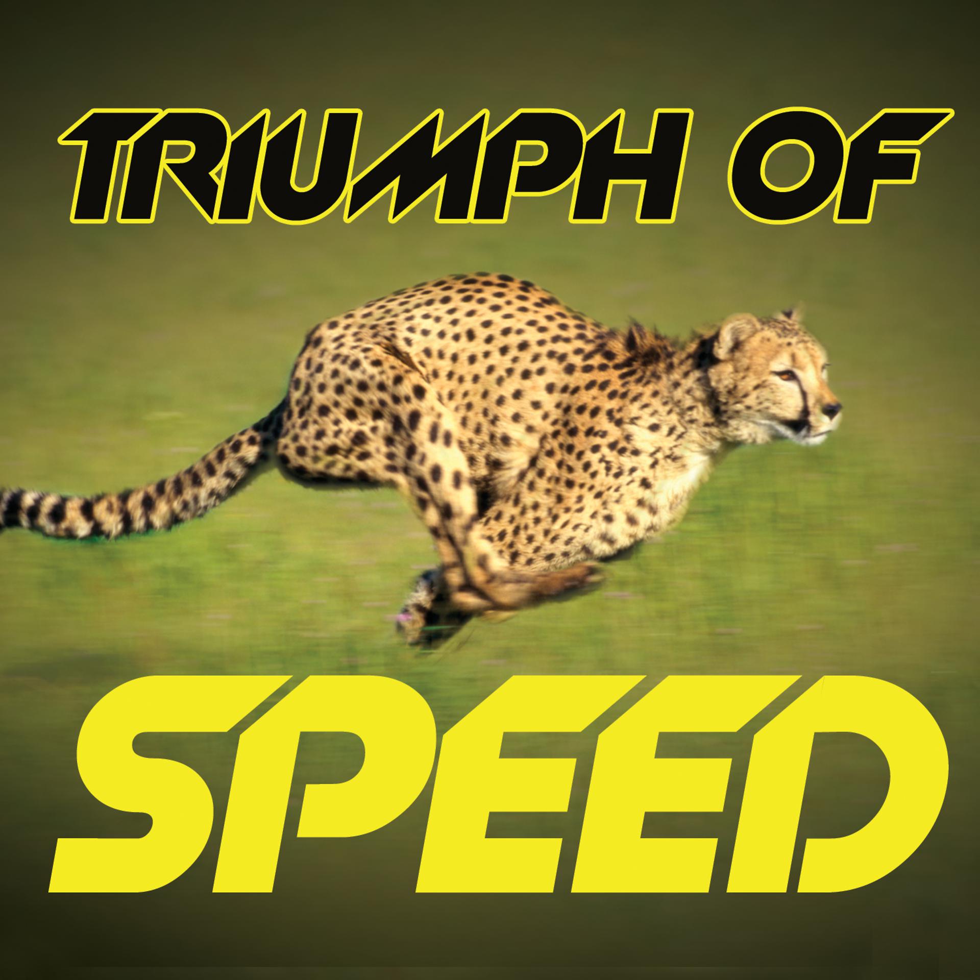 Постер альбома Triumph of Speed