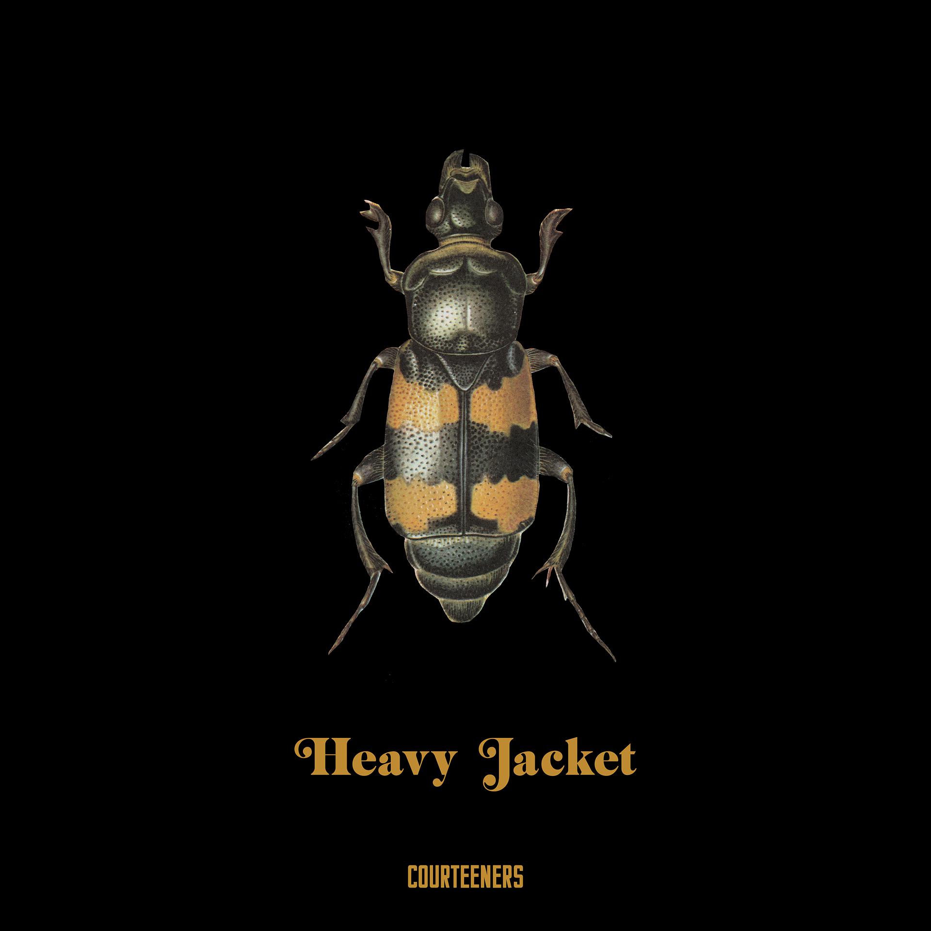Постер альбома Heavy Jacket