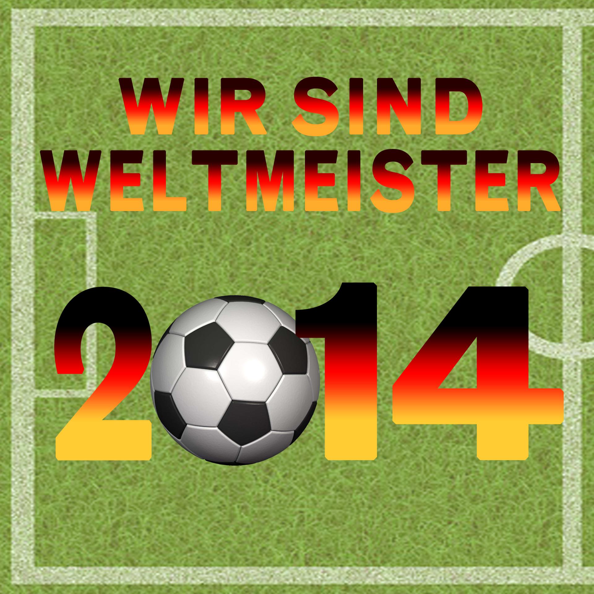 Постер альбома Wir sind Weltmeister 2014