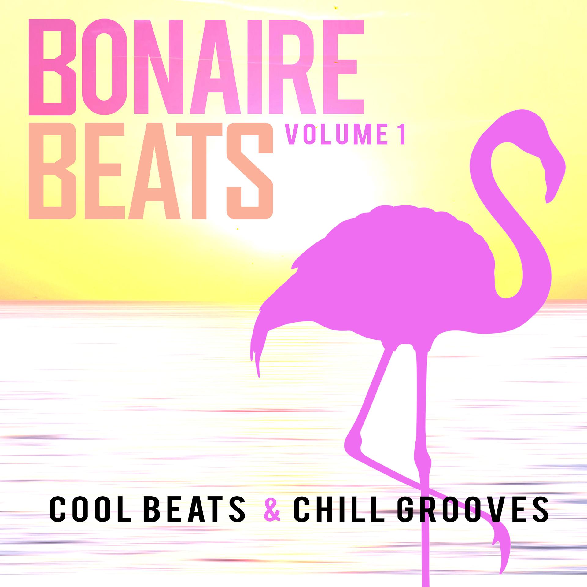 Постер альбома Bonaire Beats, Vol. 1