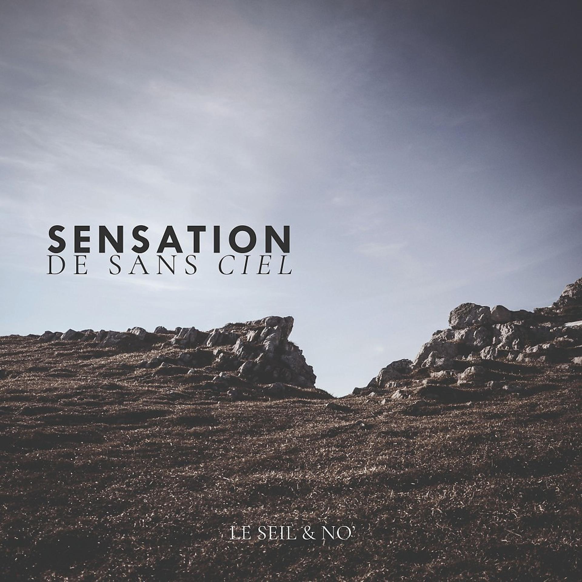 Постер альбома Sensation de sans ciel