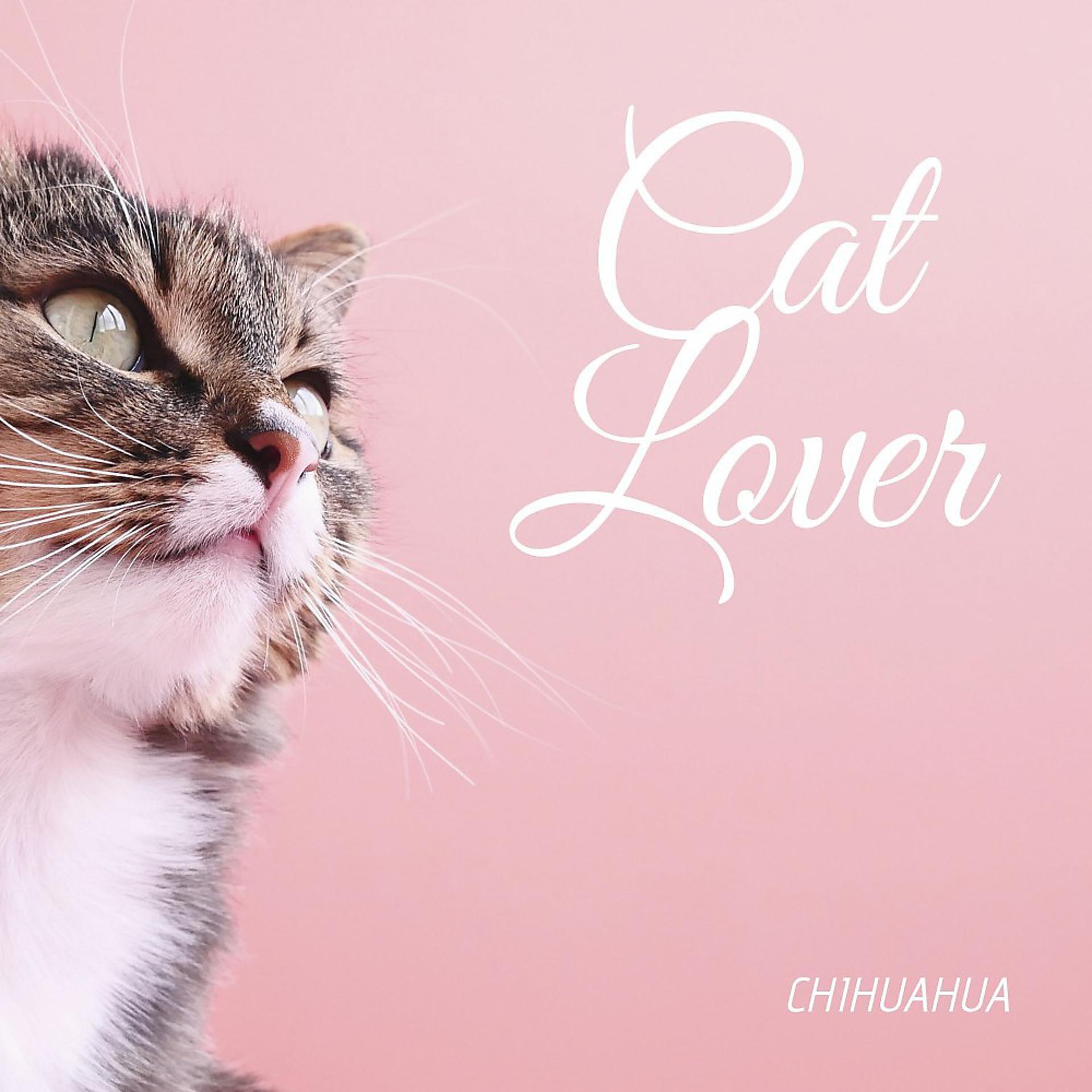 Постер альбома Cat Lover