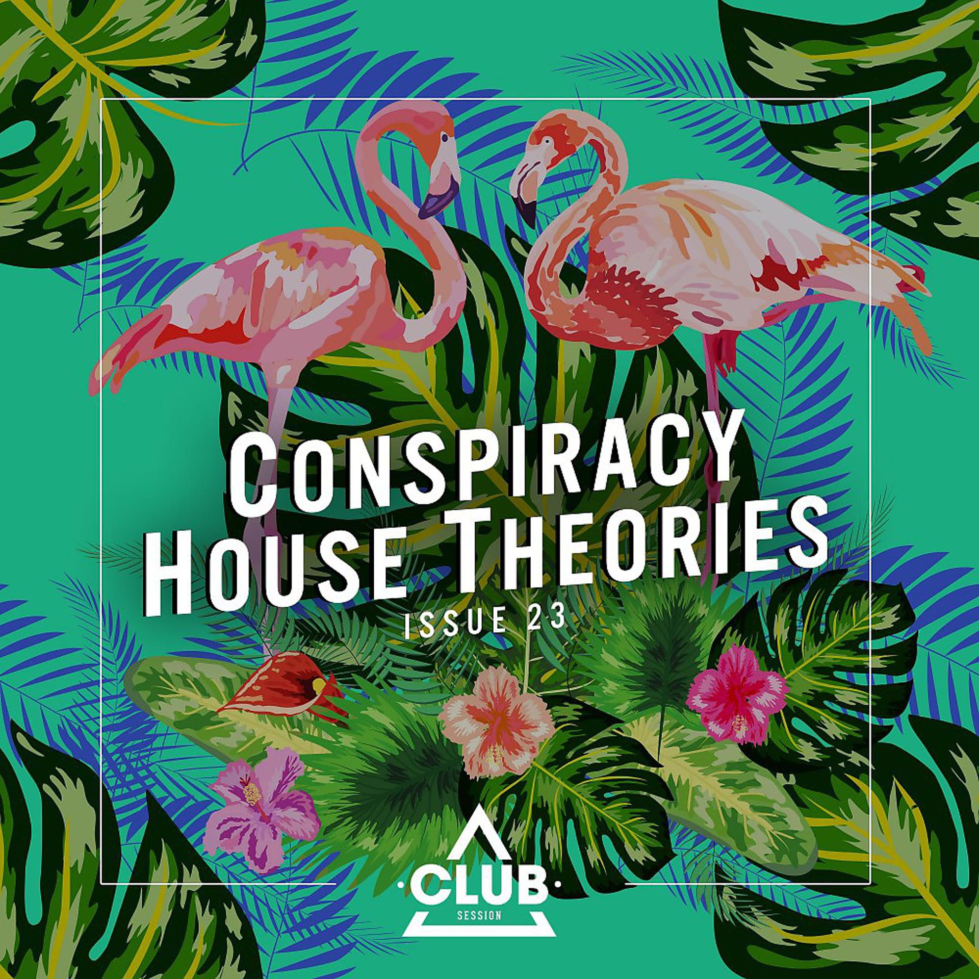 Постер альбома Conspiracy House Theories, Issue 23