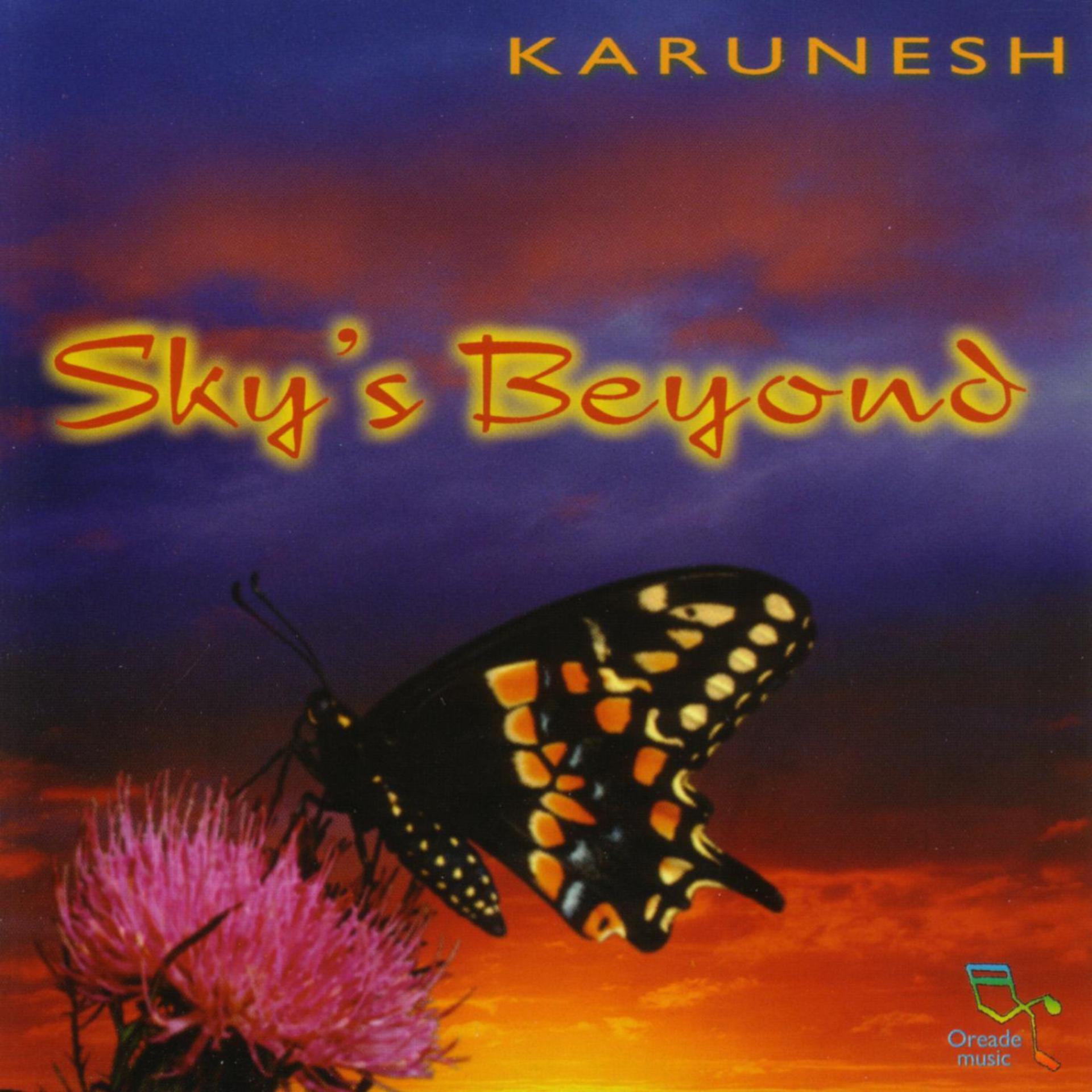 Постер альбома Sky's Beyond