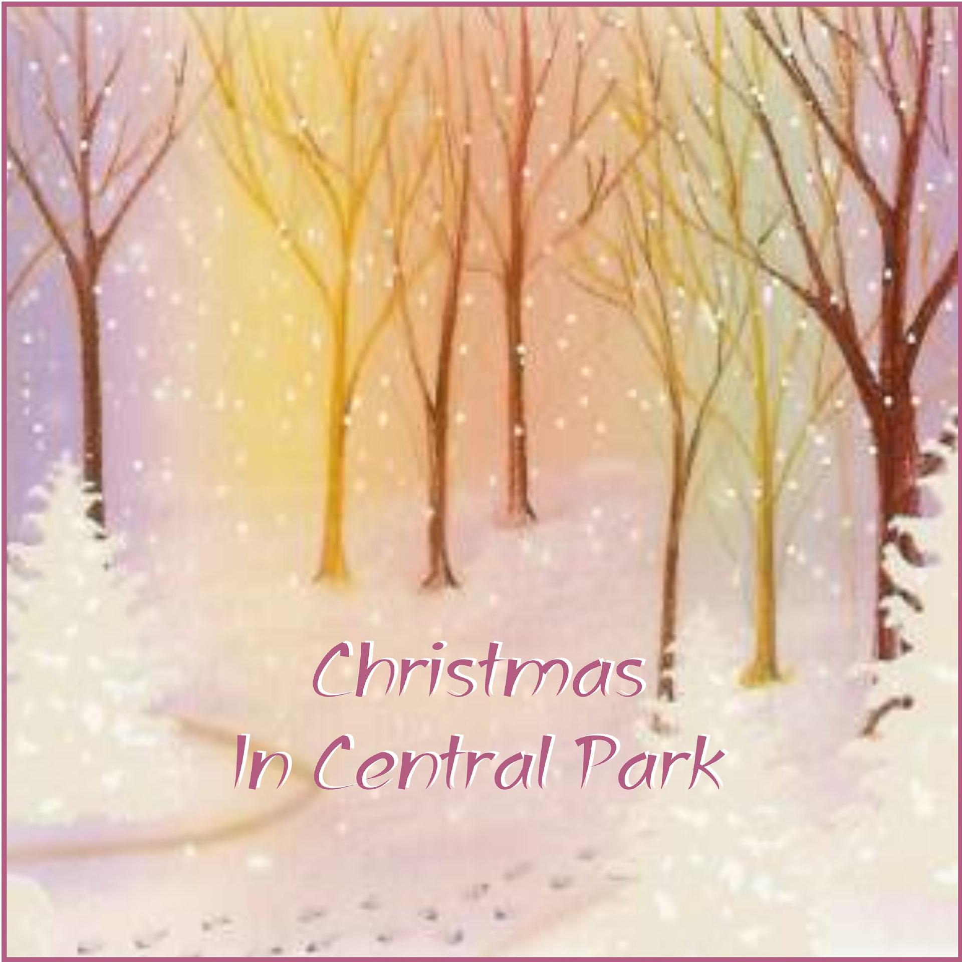 Постер альбома Christmas in Central Park