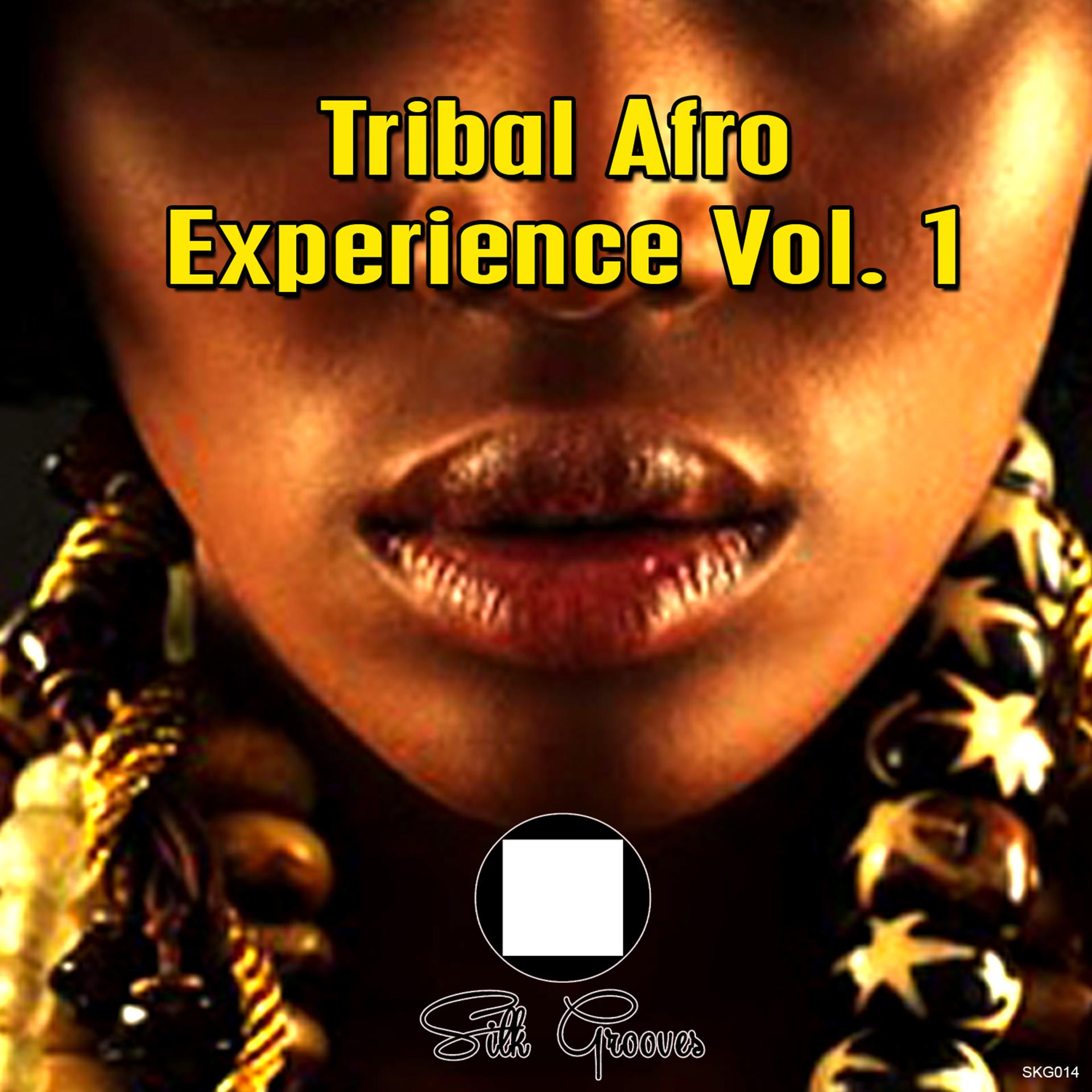 Постер альбома Tribal Afro Experience Vol 1