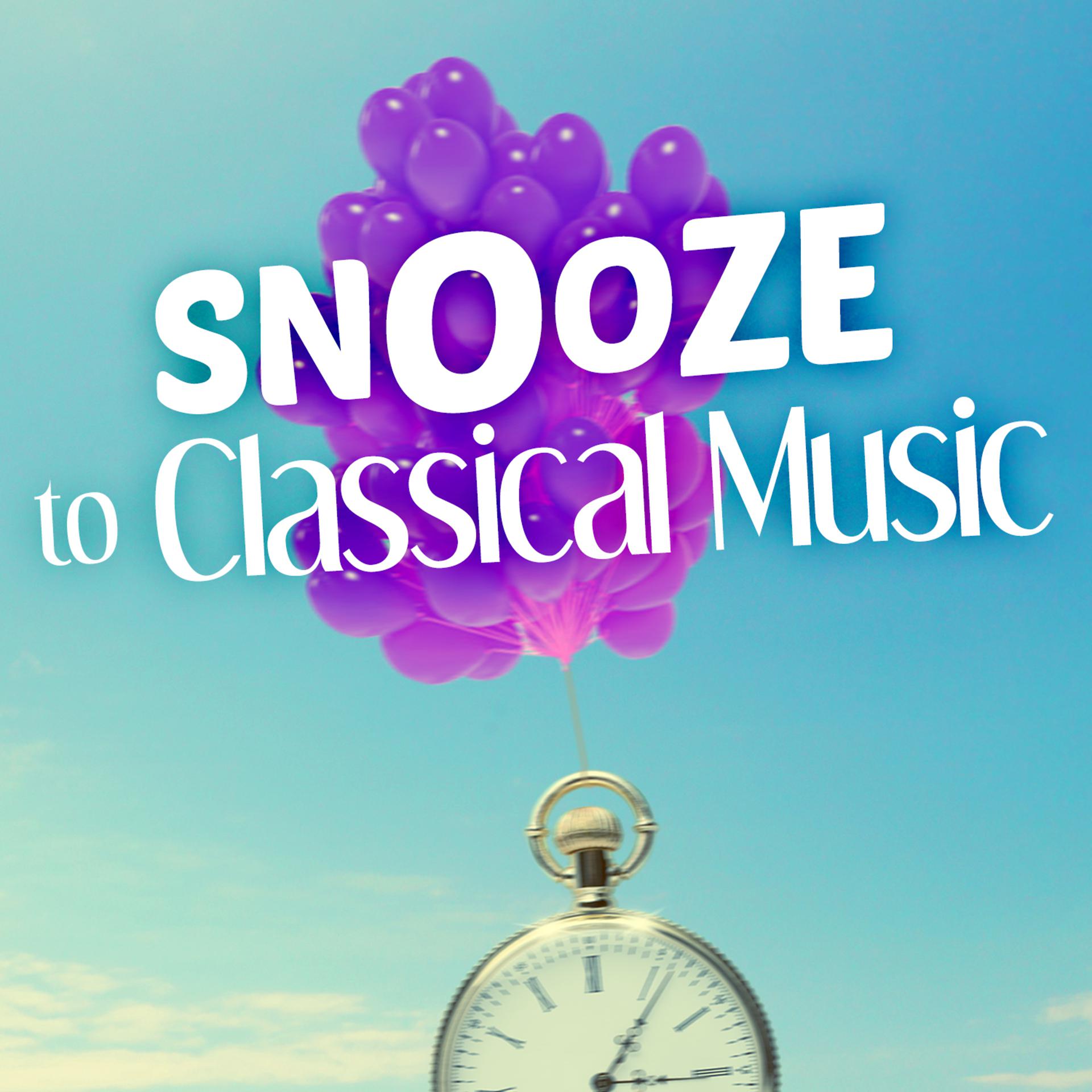 Постер альбома Snooze to Classical Music